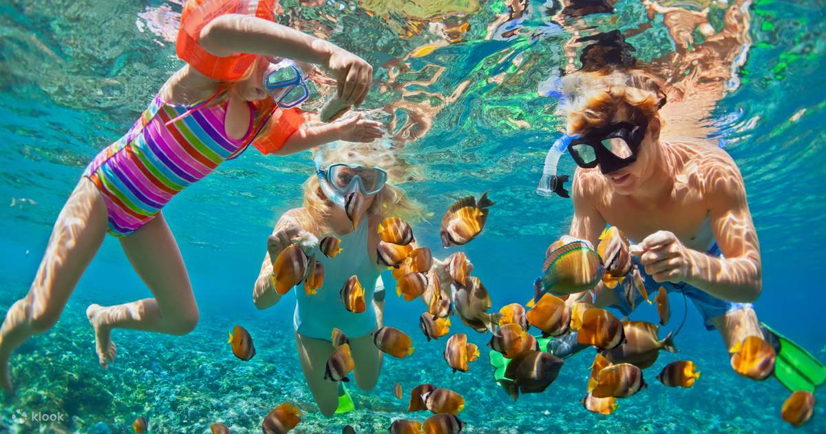 Nusa Lembongan Snorkeling & Mangrove Day Tour From Bali