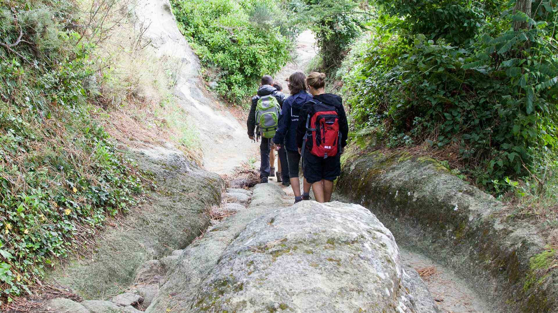 Monte Epomeo Trekking 6734674