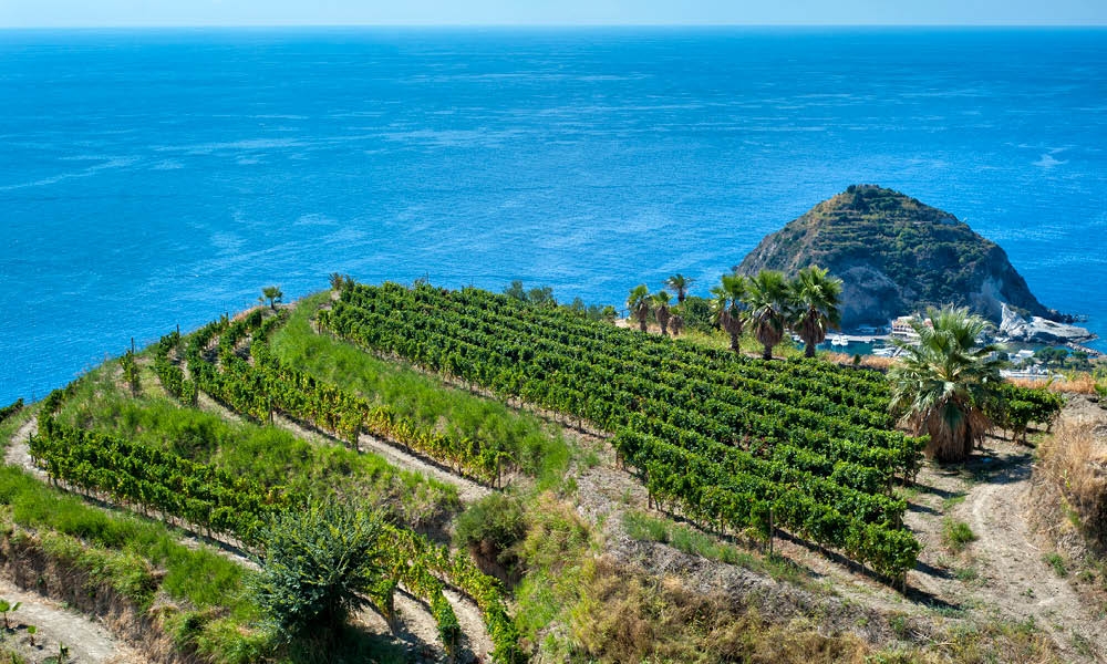 Ab90817470153a5e2d359e6dfb8f36a0