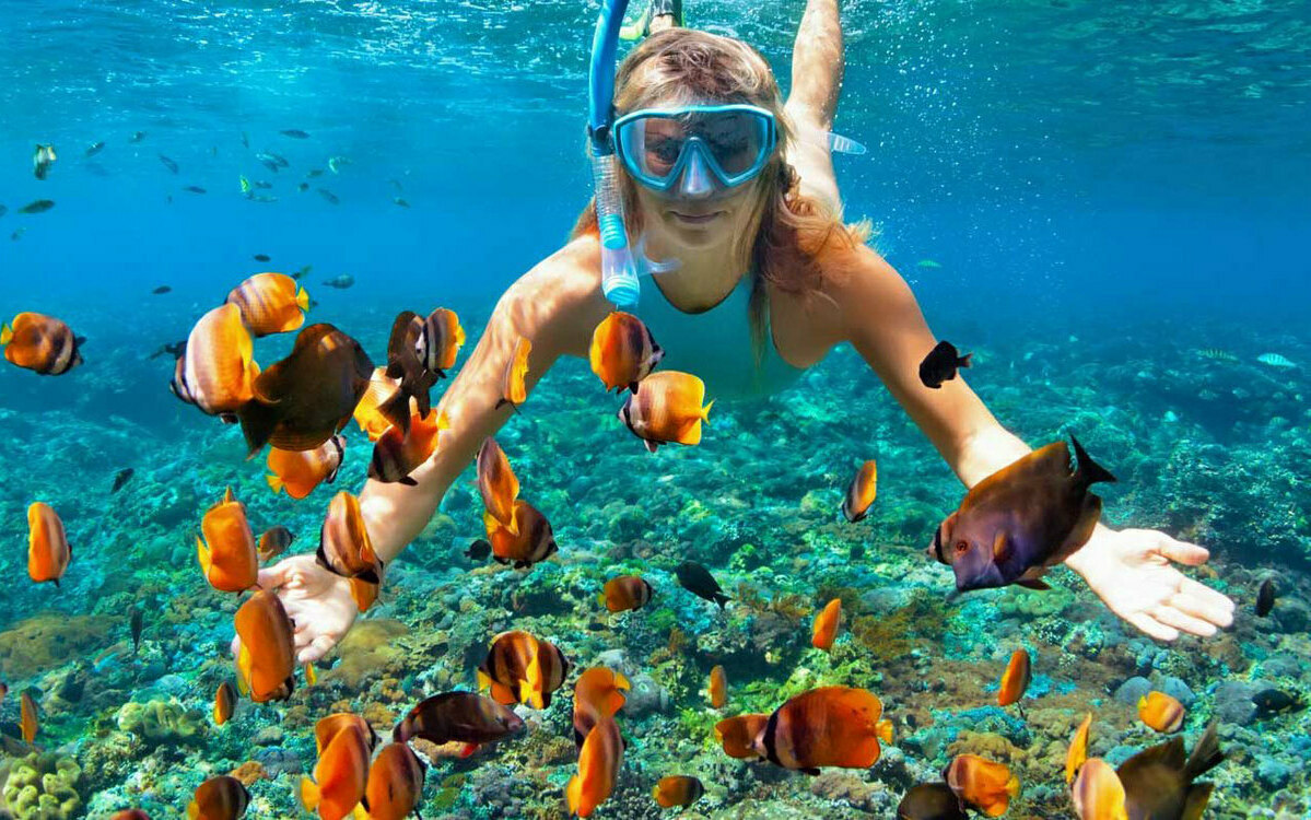 B433afdf92ce53454eb88856fc20a4a8