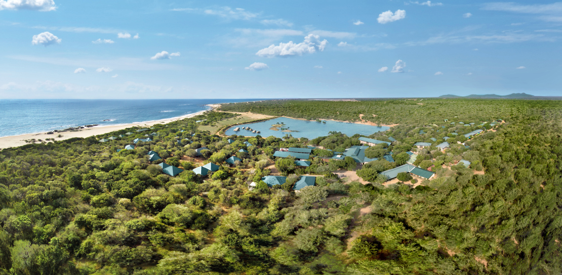 Wild Aerial