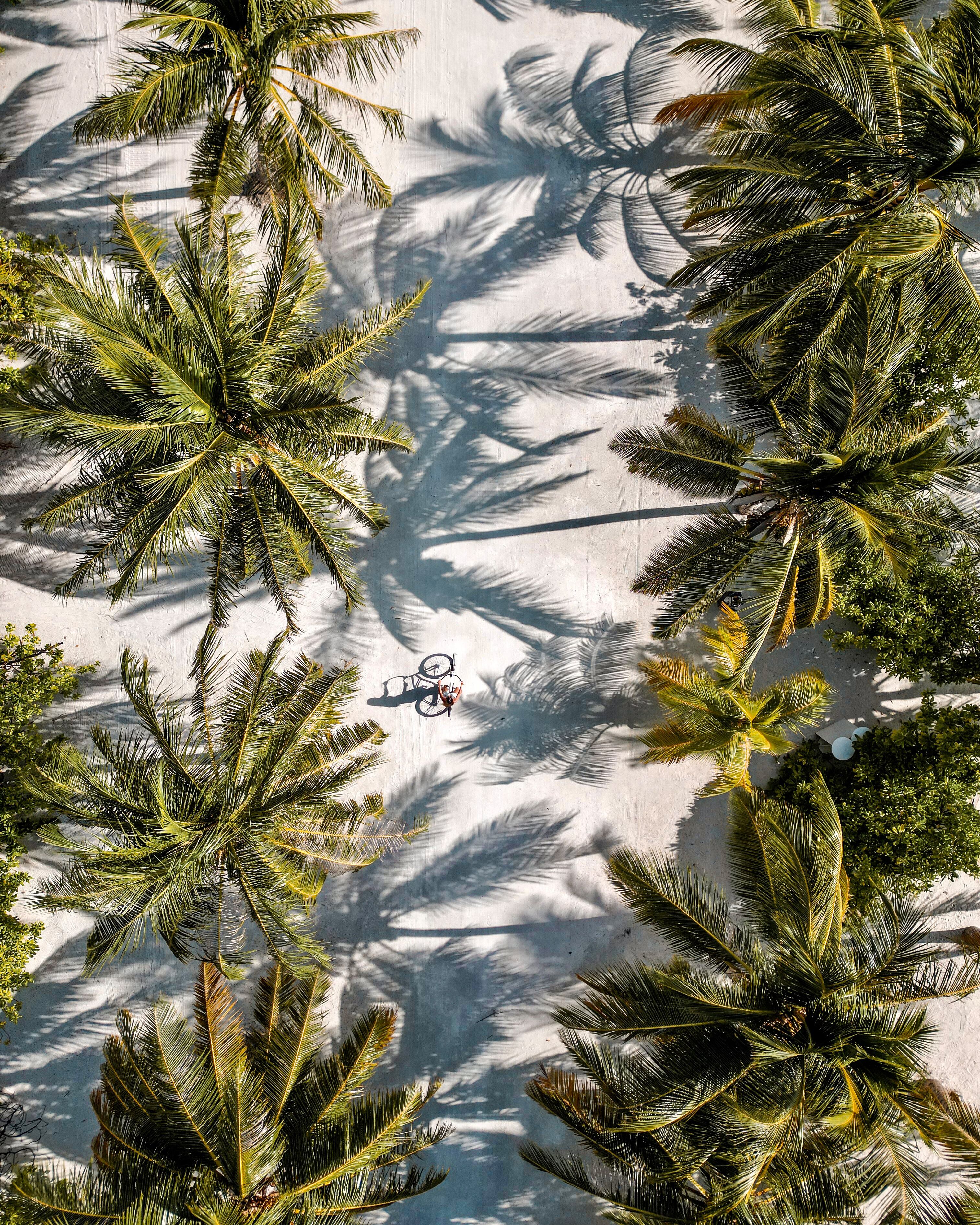 Villa Nautica Influencer Girl On Bicycle 4K