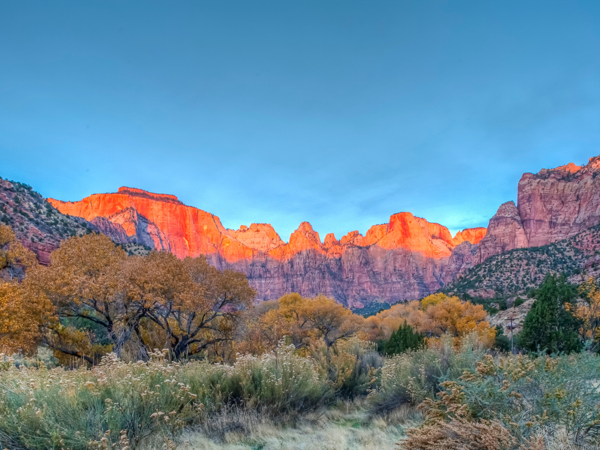 Zion 2