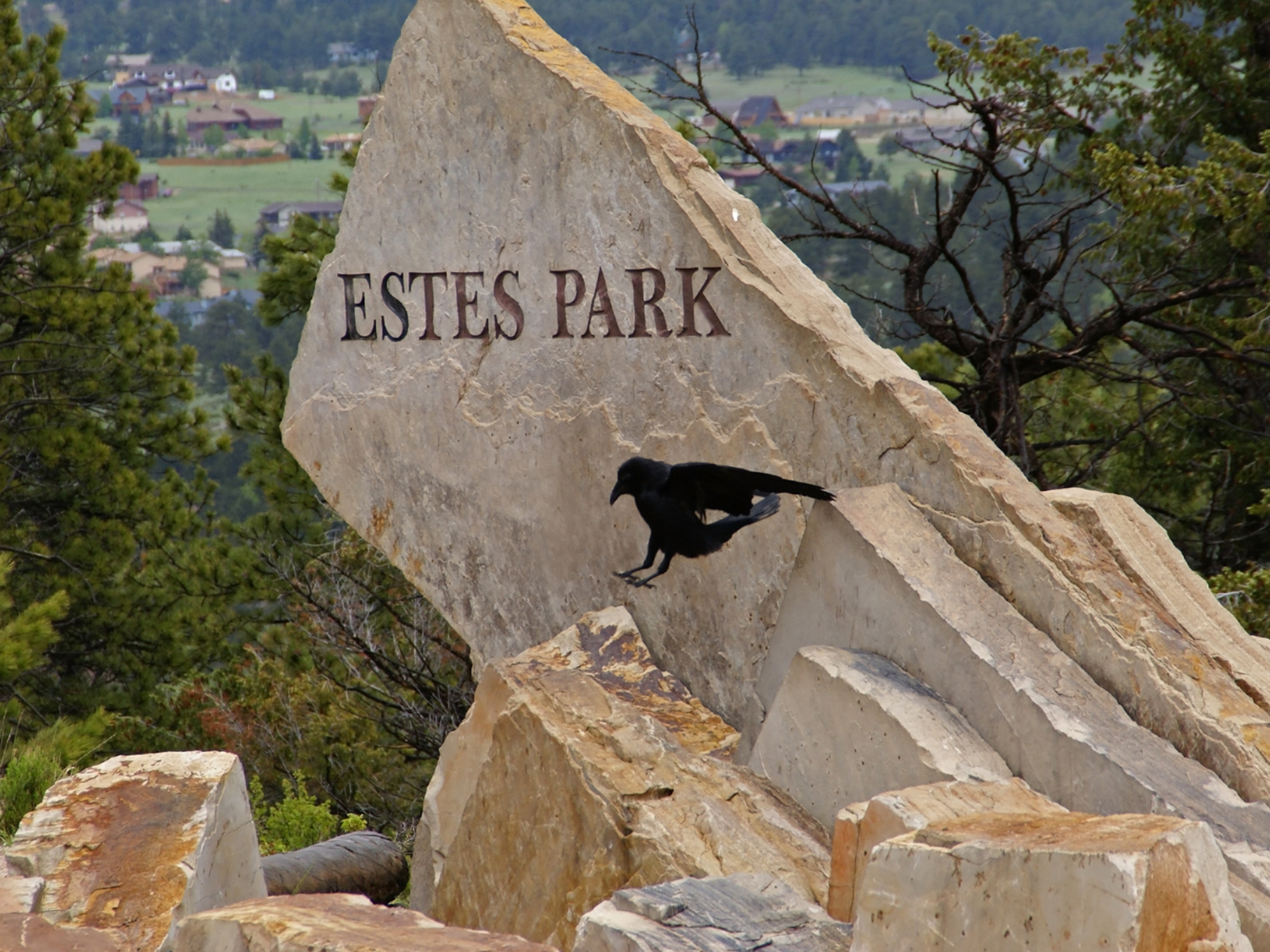 Estes Park