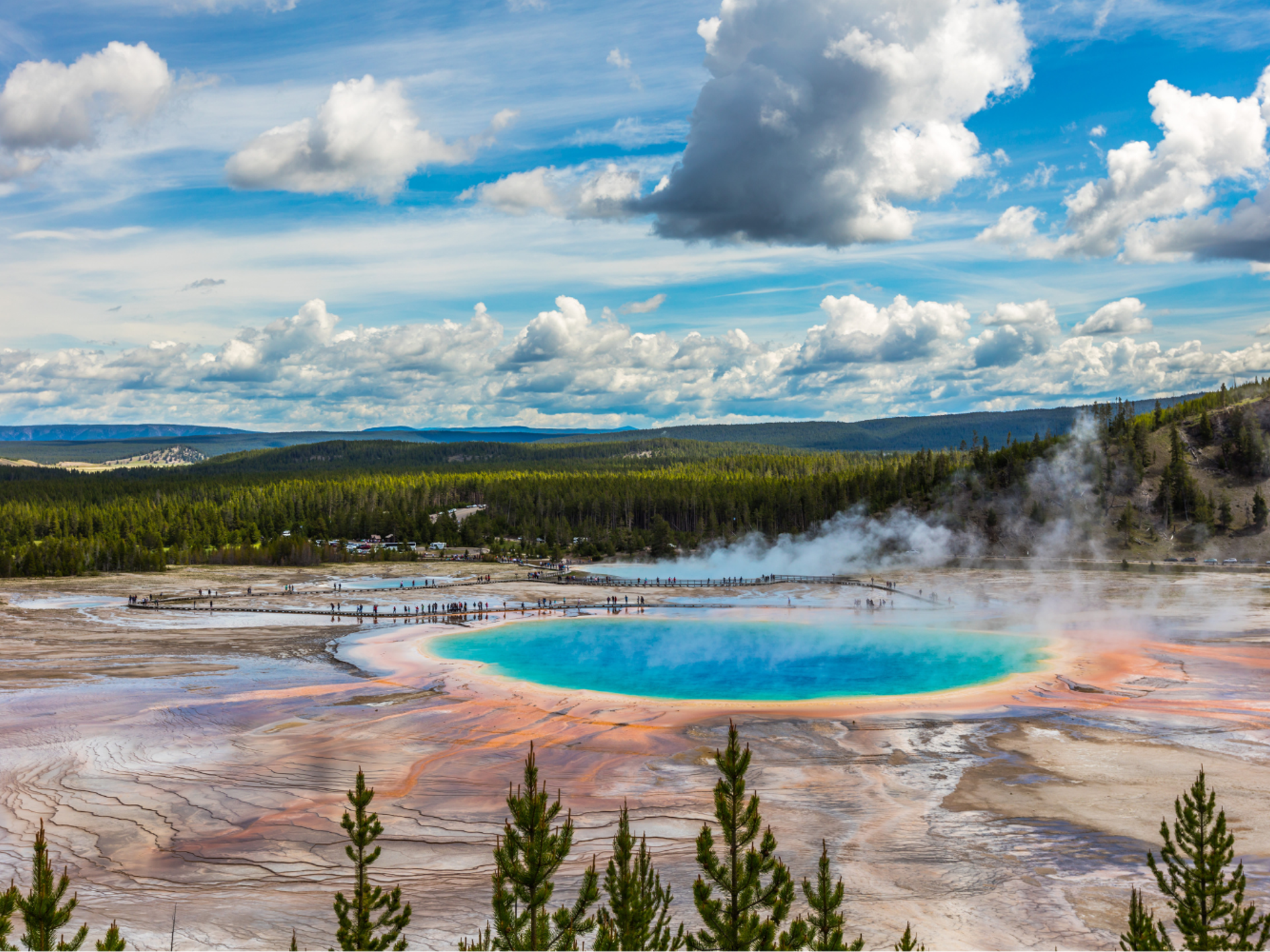 Yellowstone
