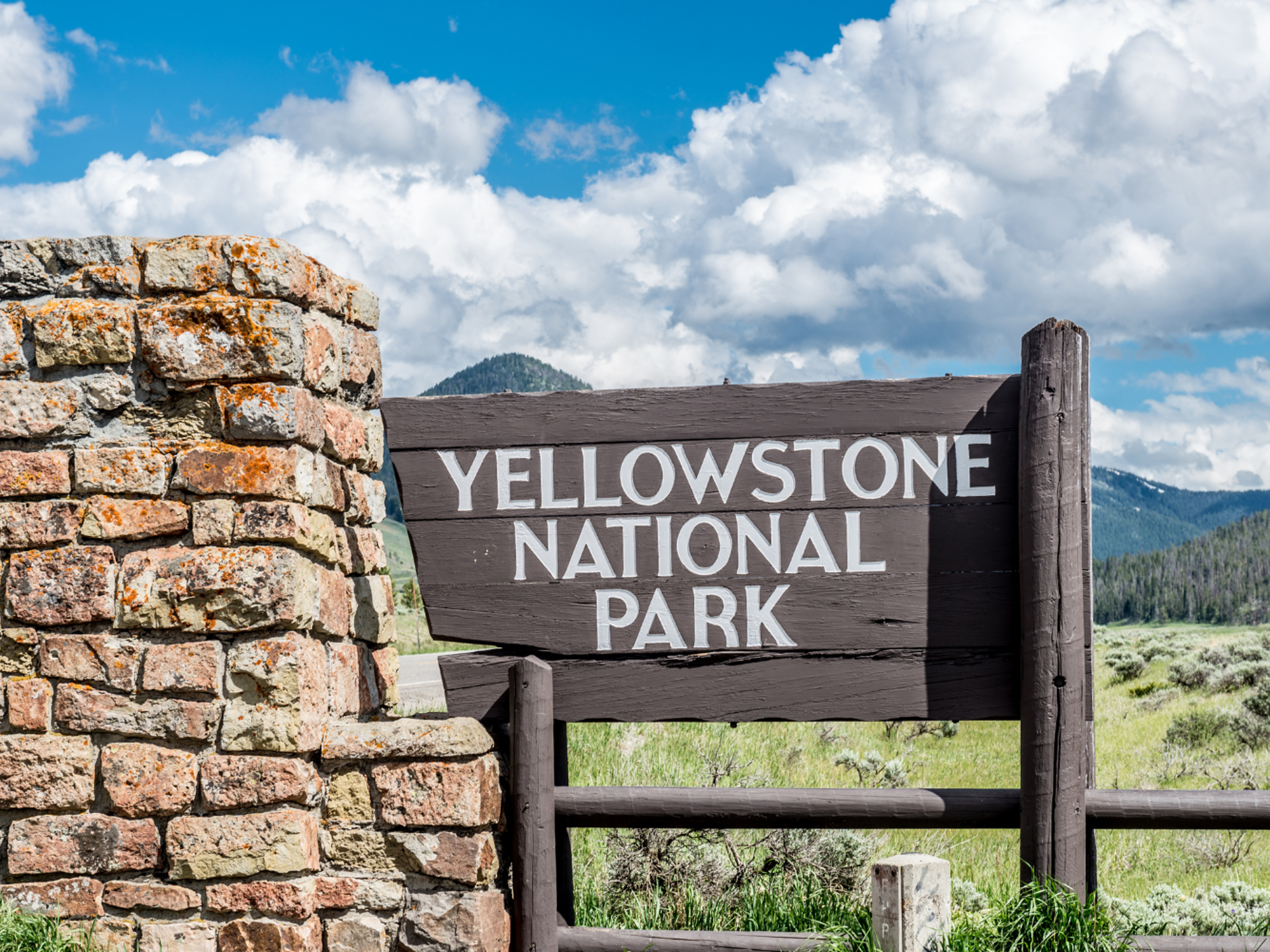 Yellowstone 1