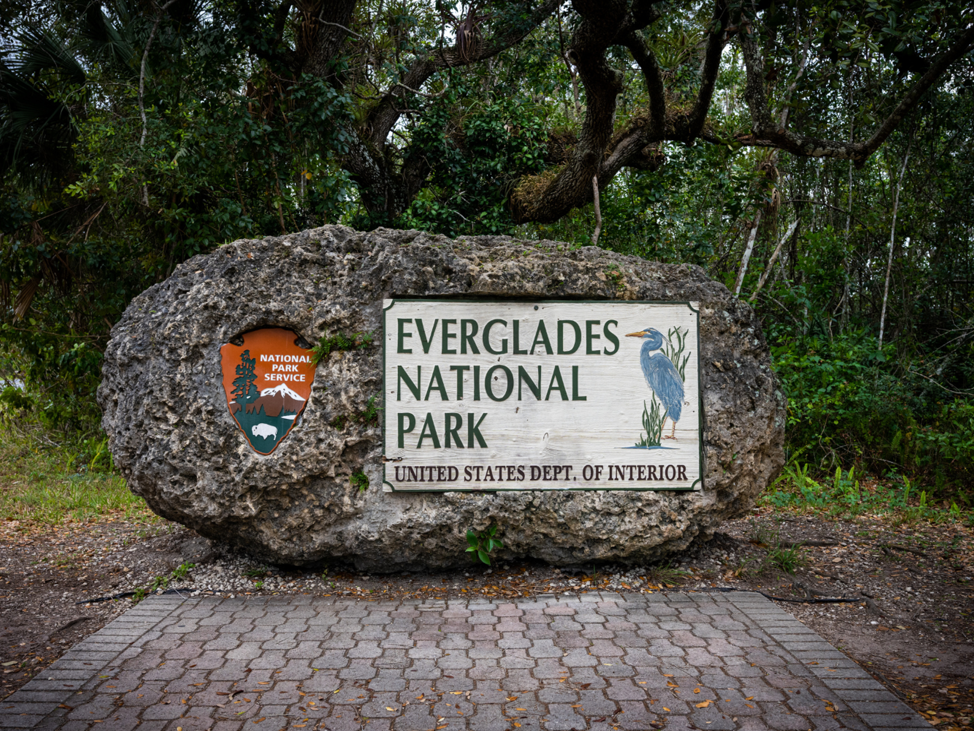 Everglades 3
