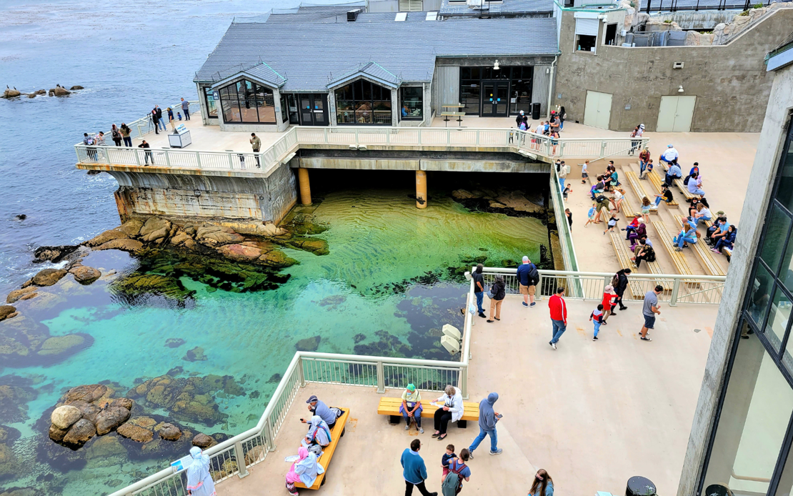 Monterey