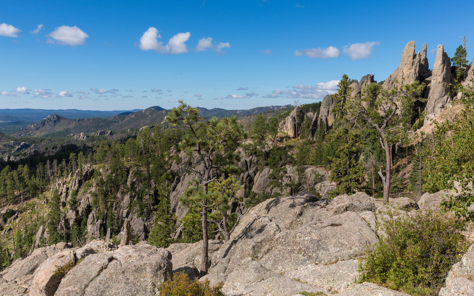 Black Hills (1)