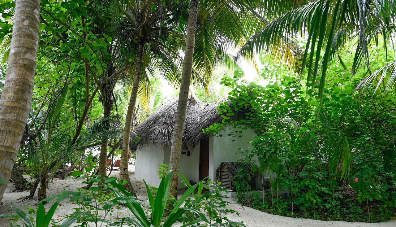 Makunudu Island Deluxe Beach Bungalow Exterior 2
