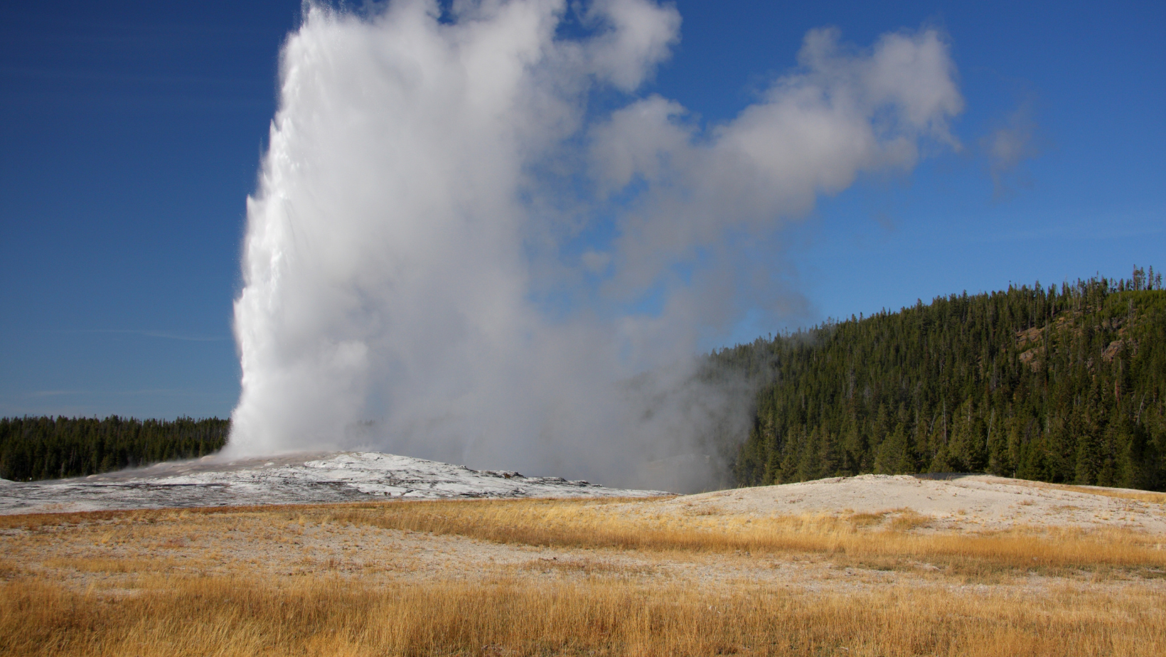 Yellowstone Nationalpark 2