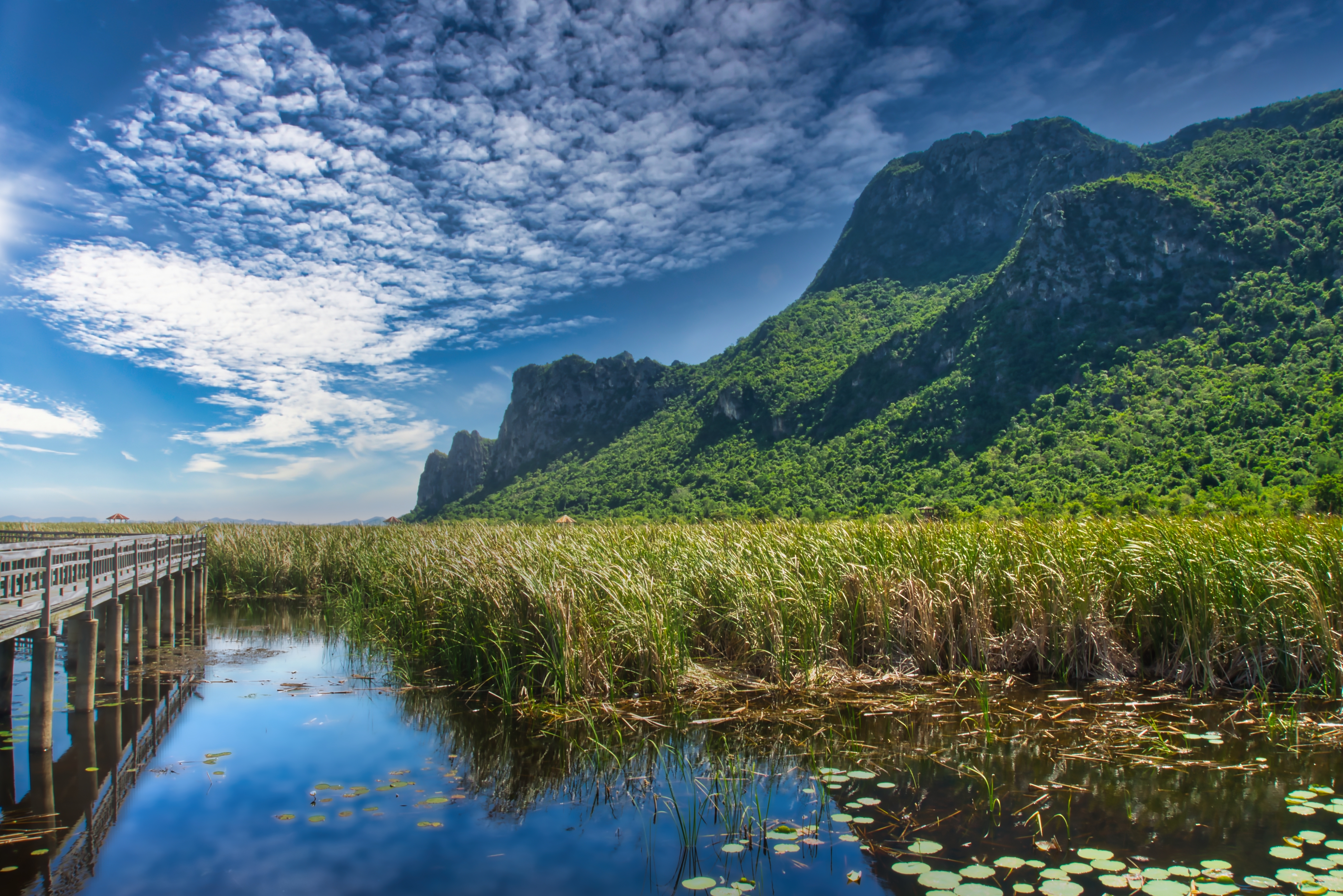 Shutterstock 2316780725