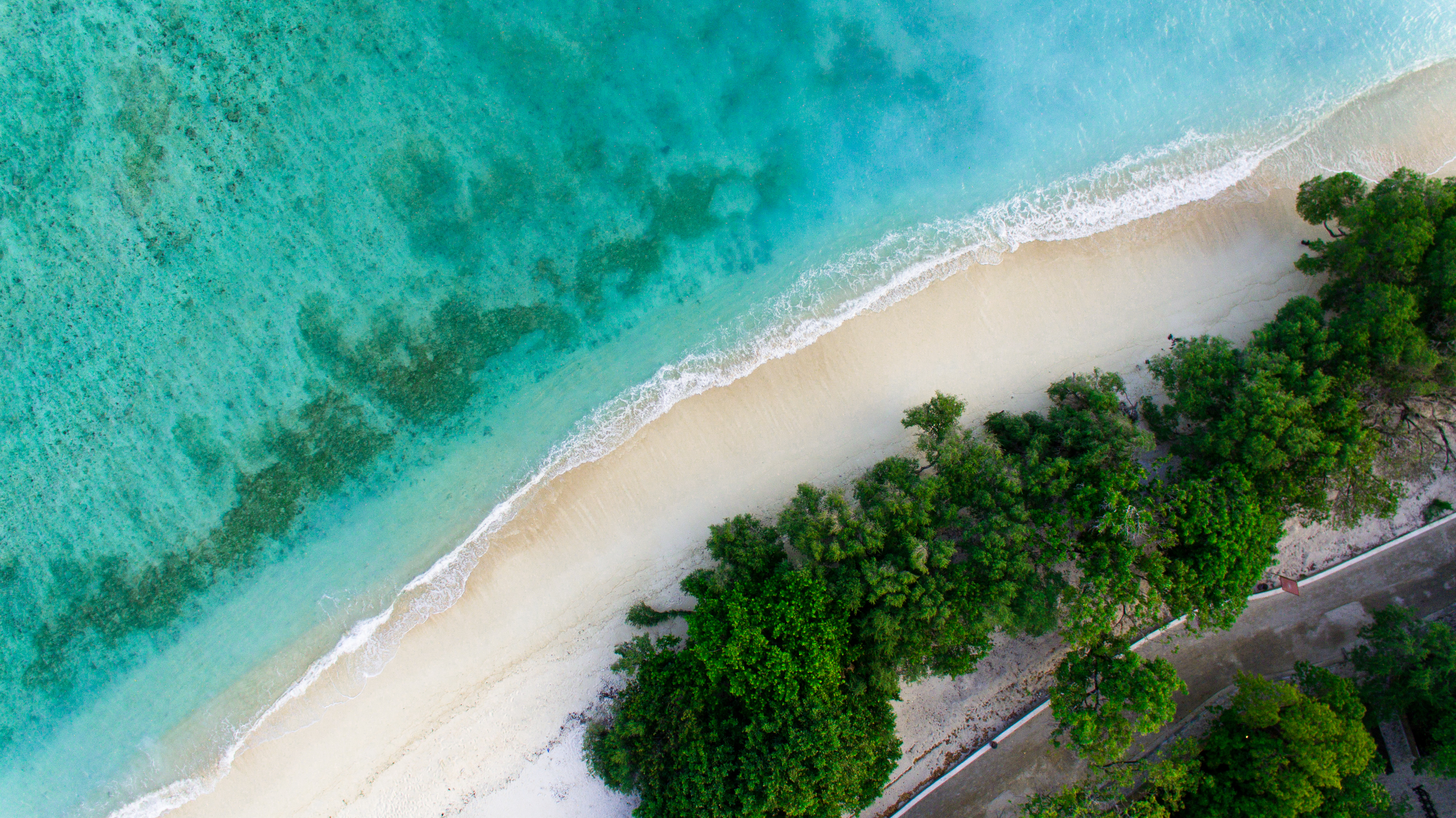 Shutterstock 1872647371