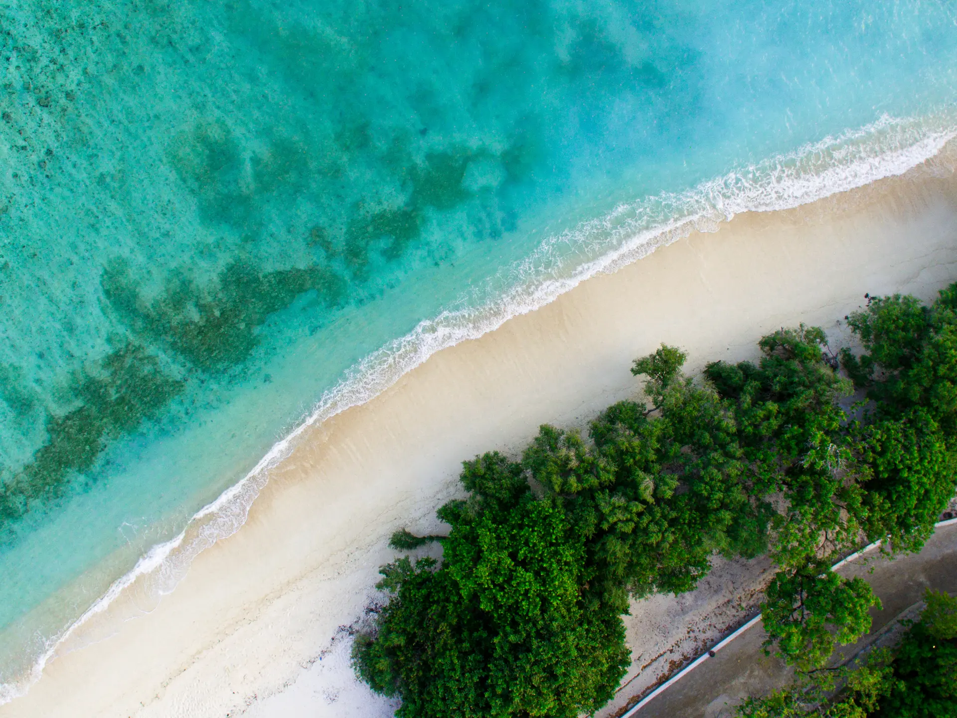 Shutterstock 1872647371