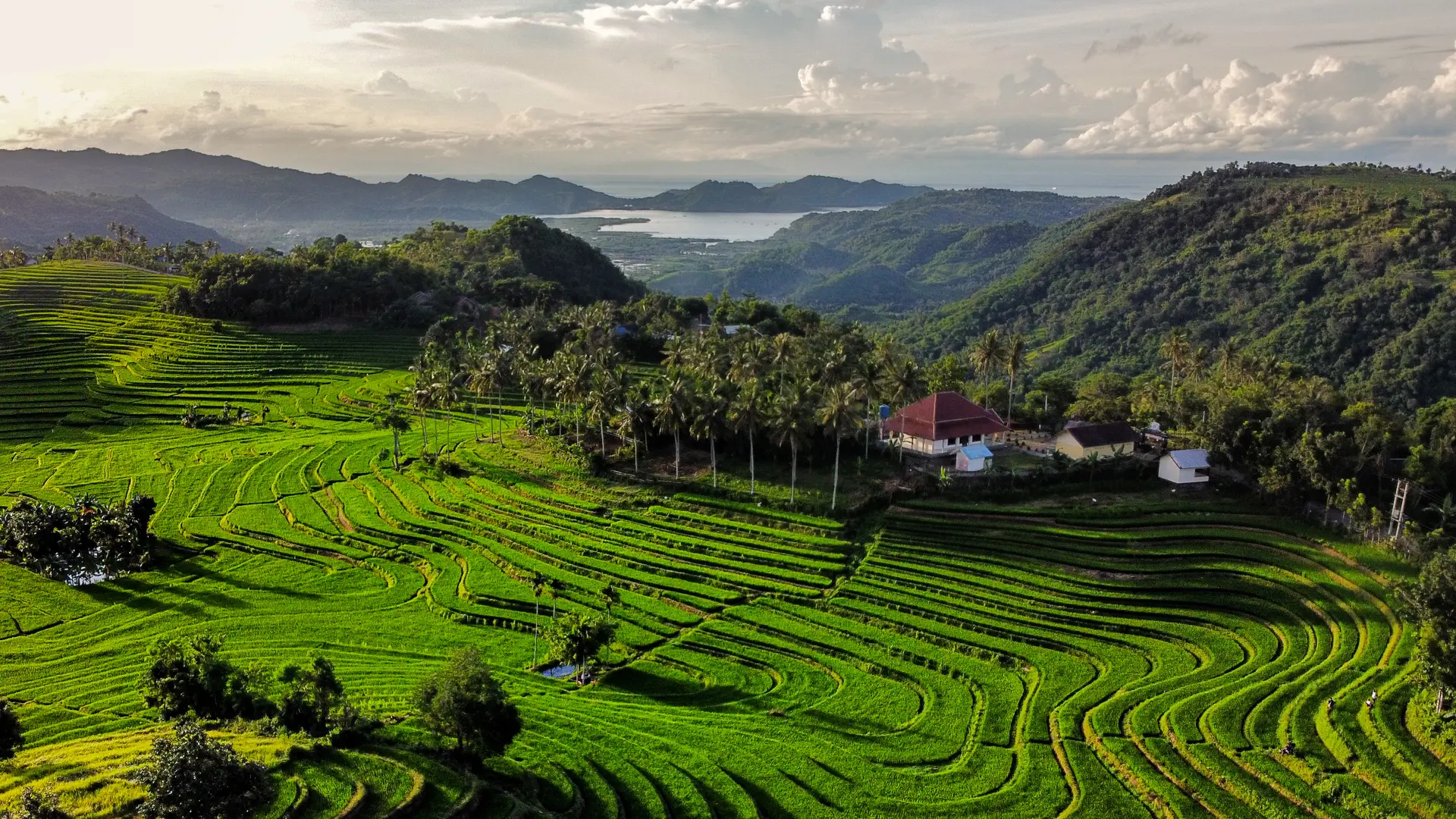 Shutterstock 1919956412