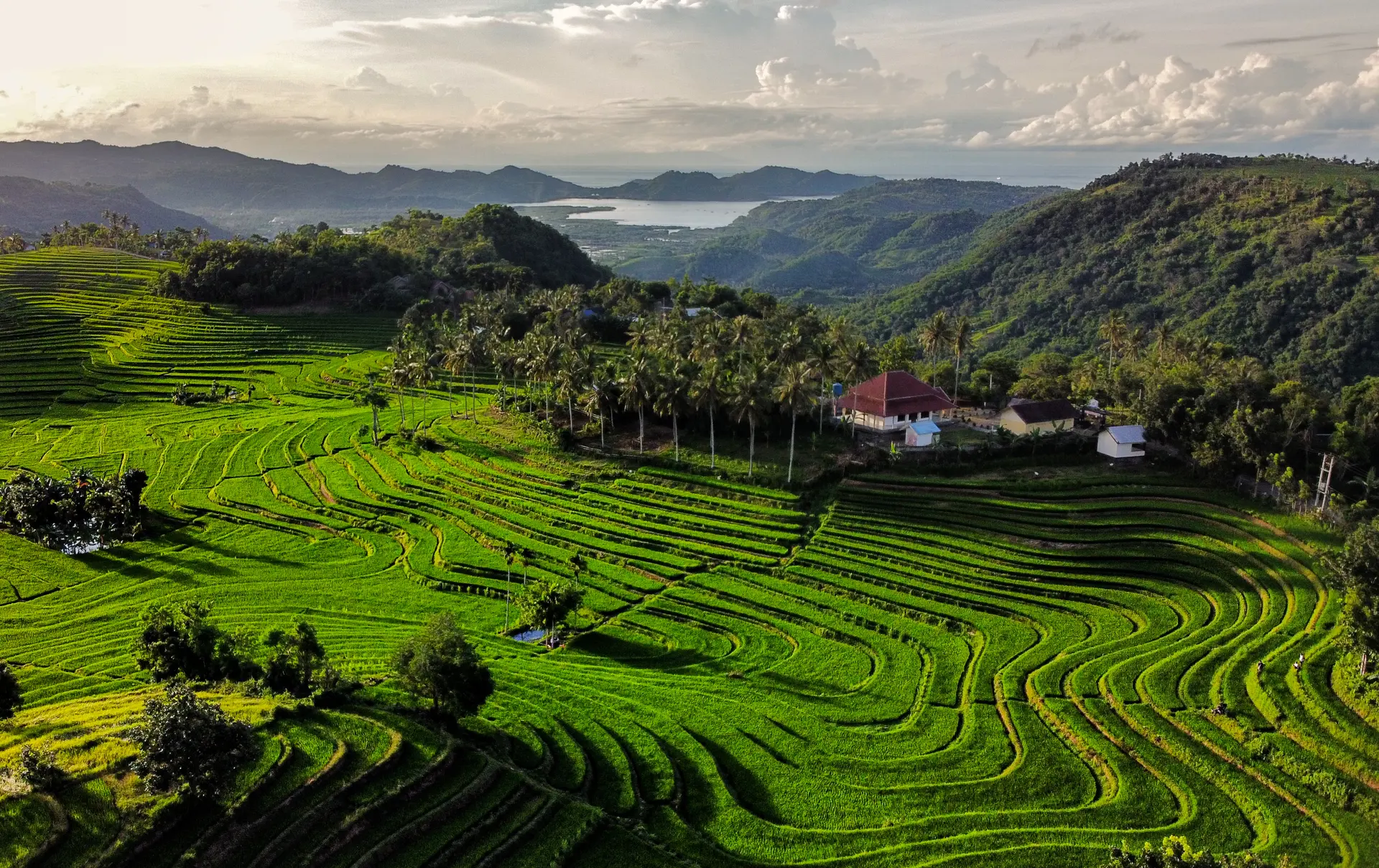 Shutterstock 1919956412