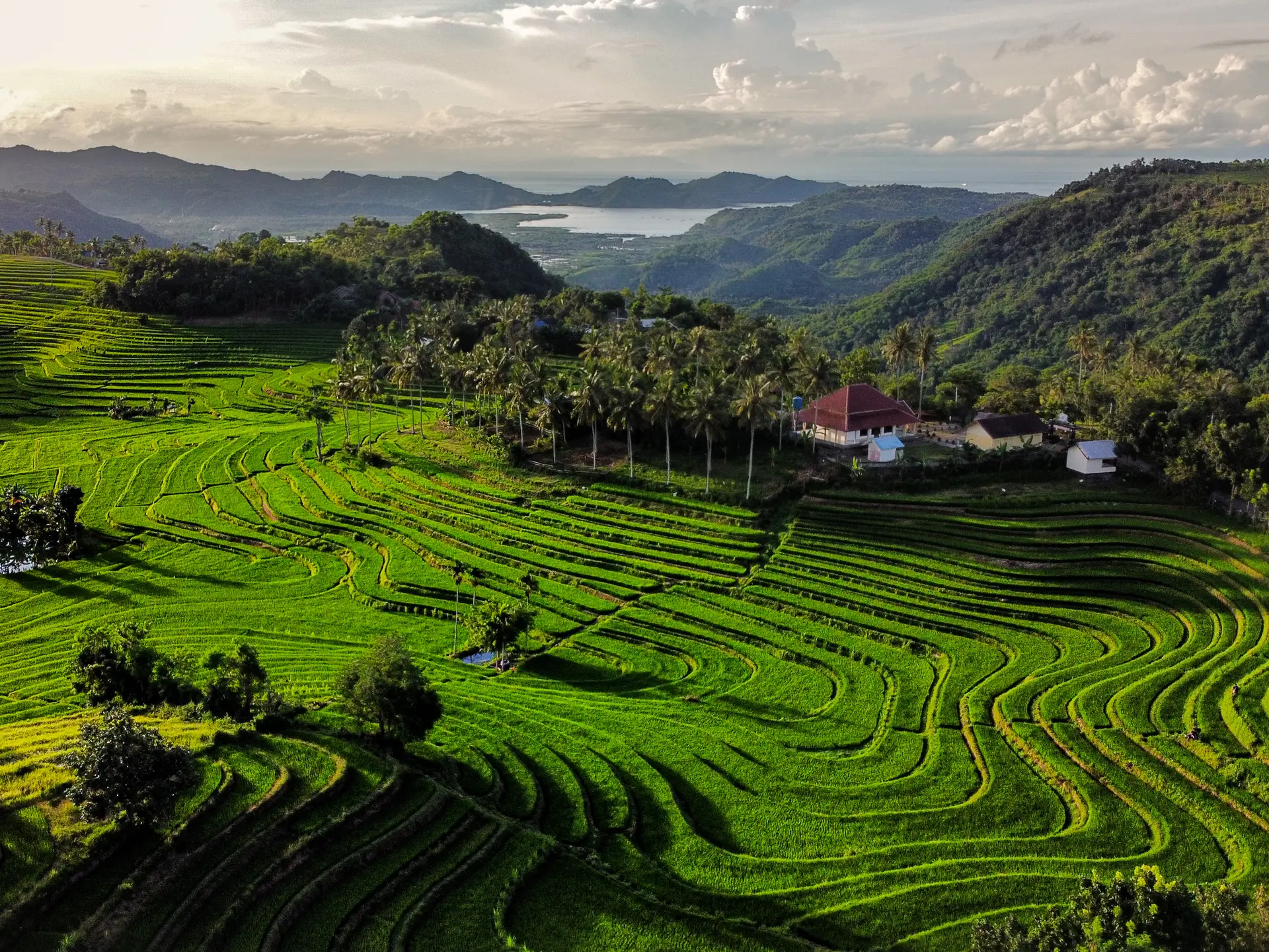 Shutterstock 1919956412