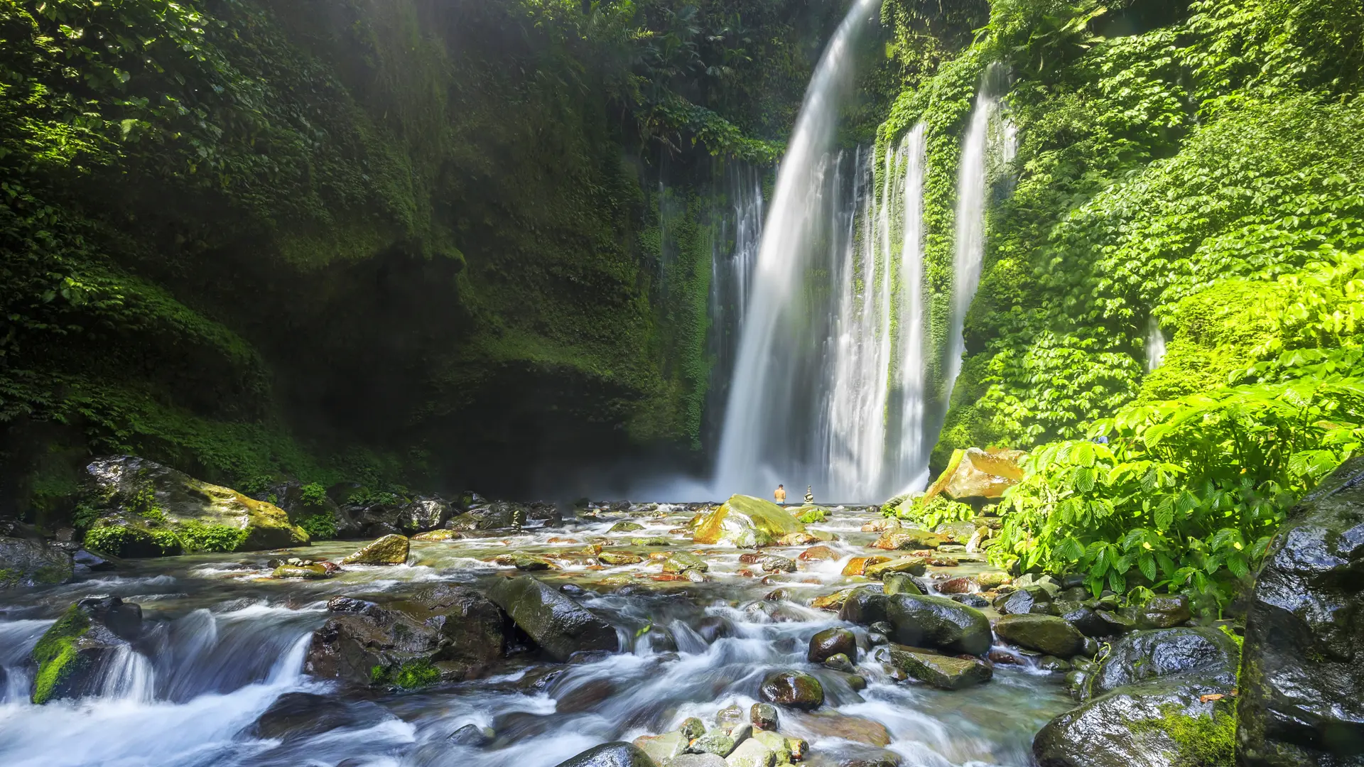 Shutterstock 1171222390