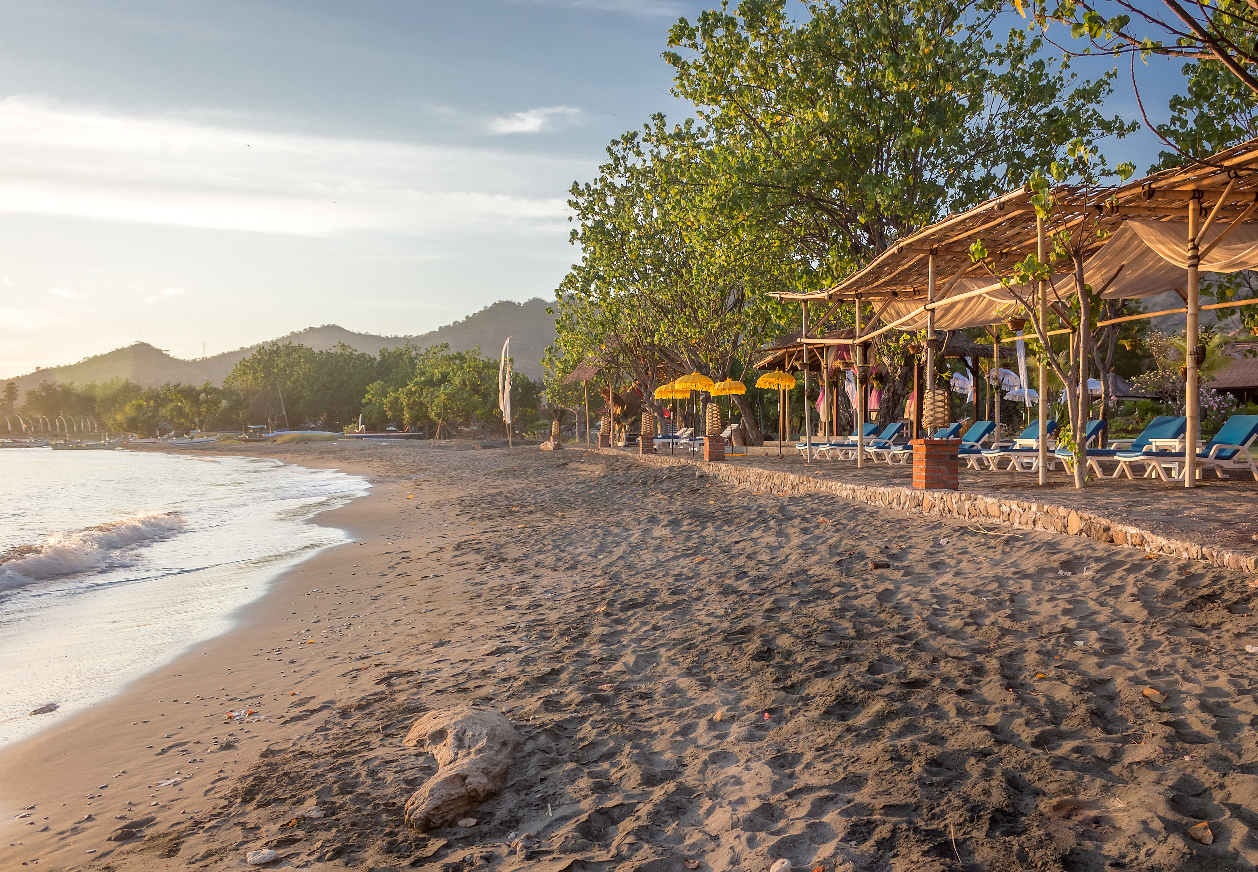 Shutterstock 1257166906