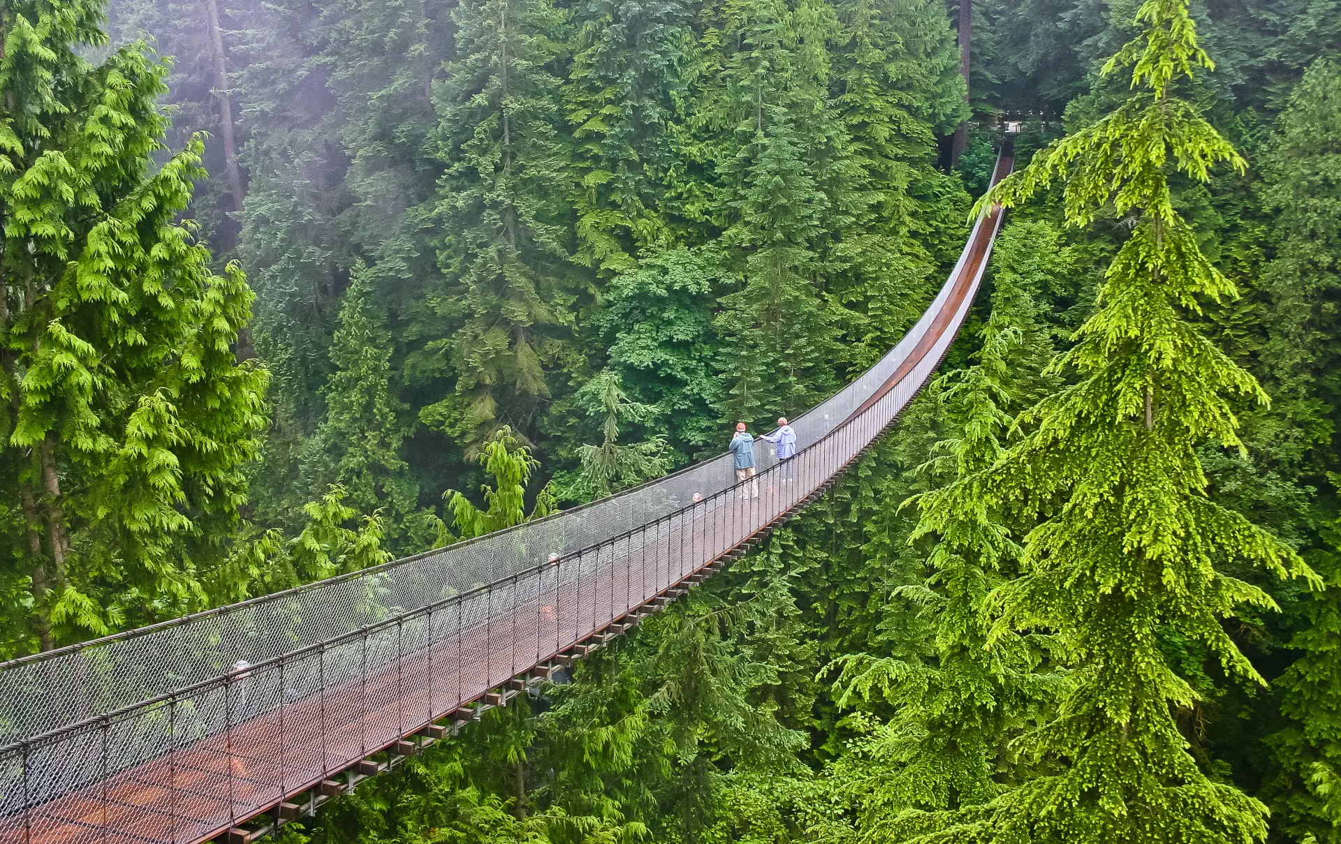 Shutterstock 775976068