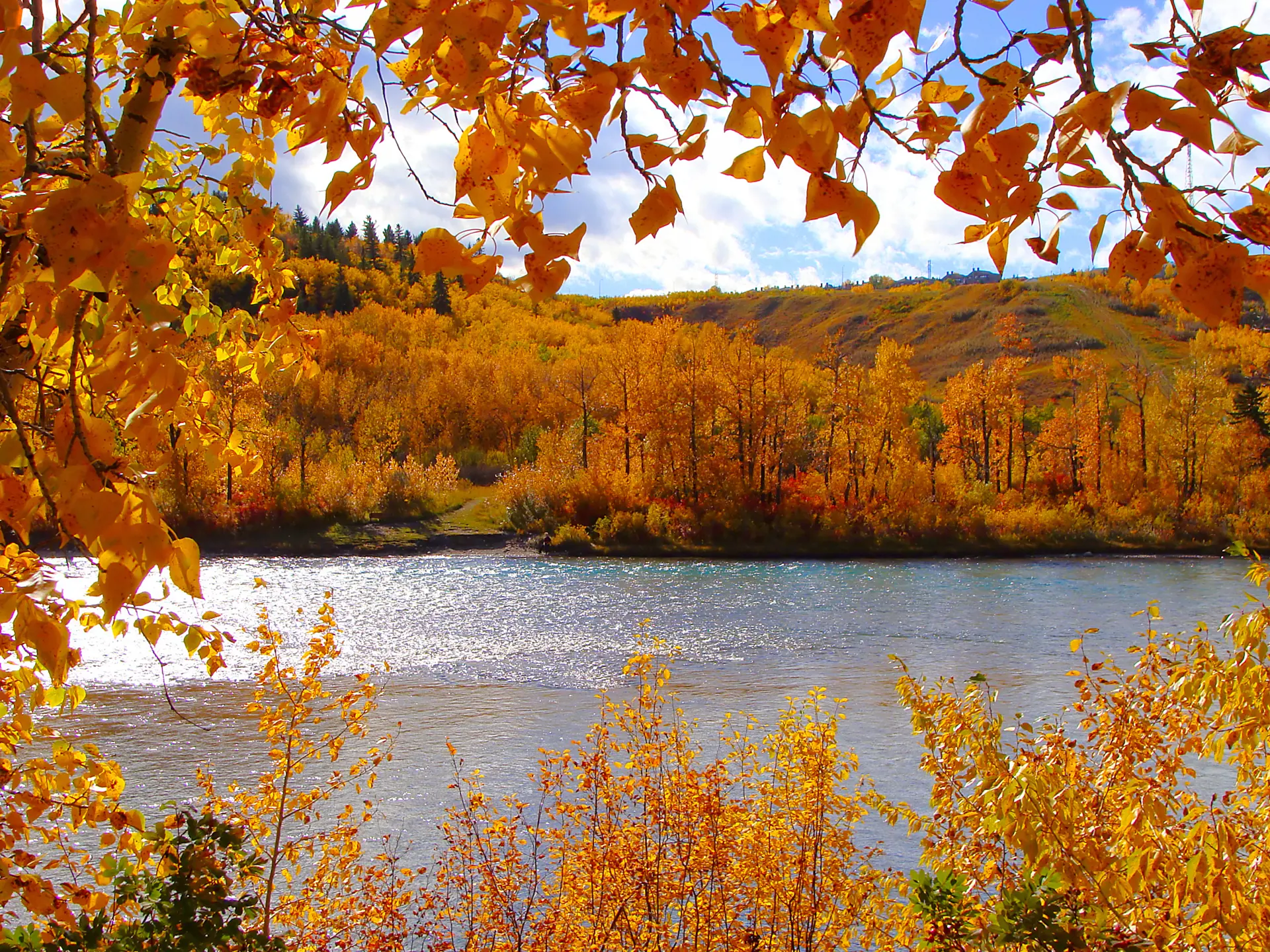 EFTERÅR - Canada er også smukt i sensommeren og efteråret - og så er der færre mennesker, I skal dele de store naturoplevelser med, Check Point Travel