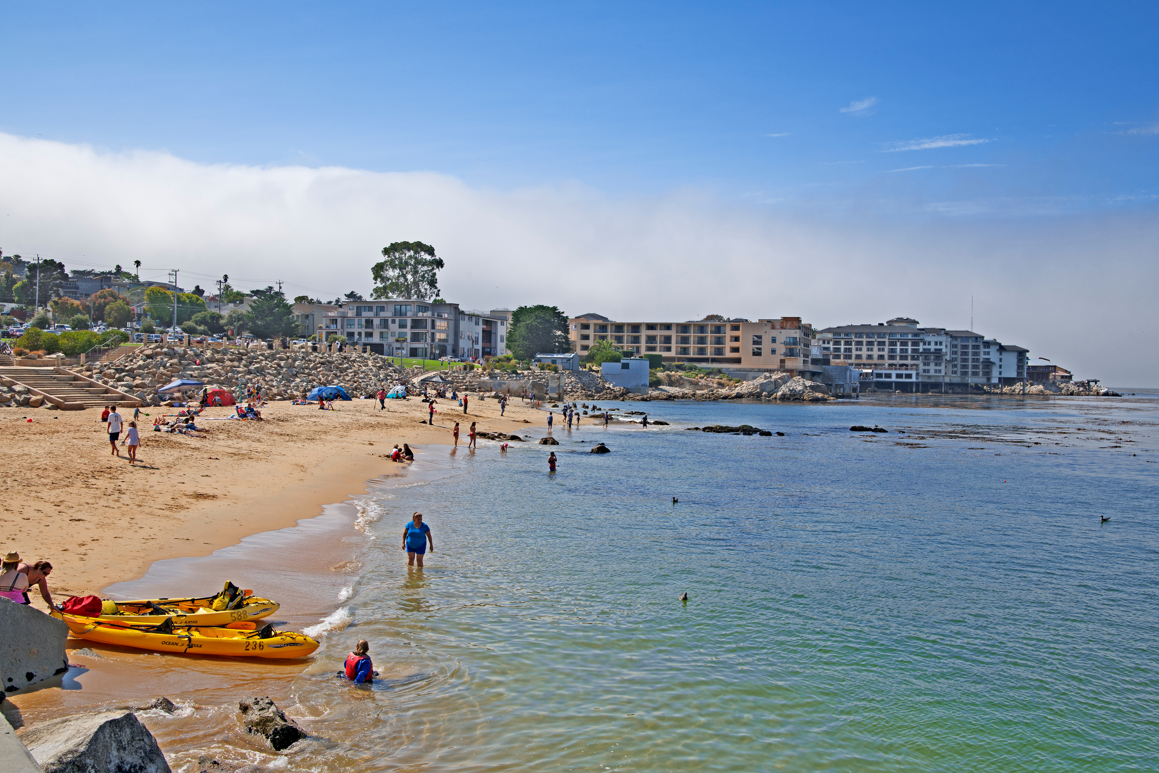 På Stranden Ved Monterey Shutterstock 1157463130