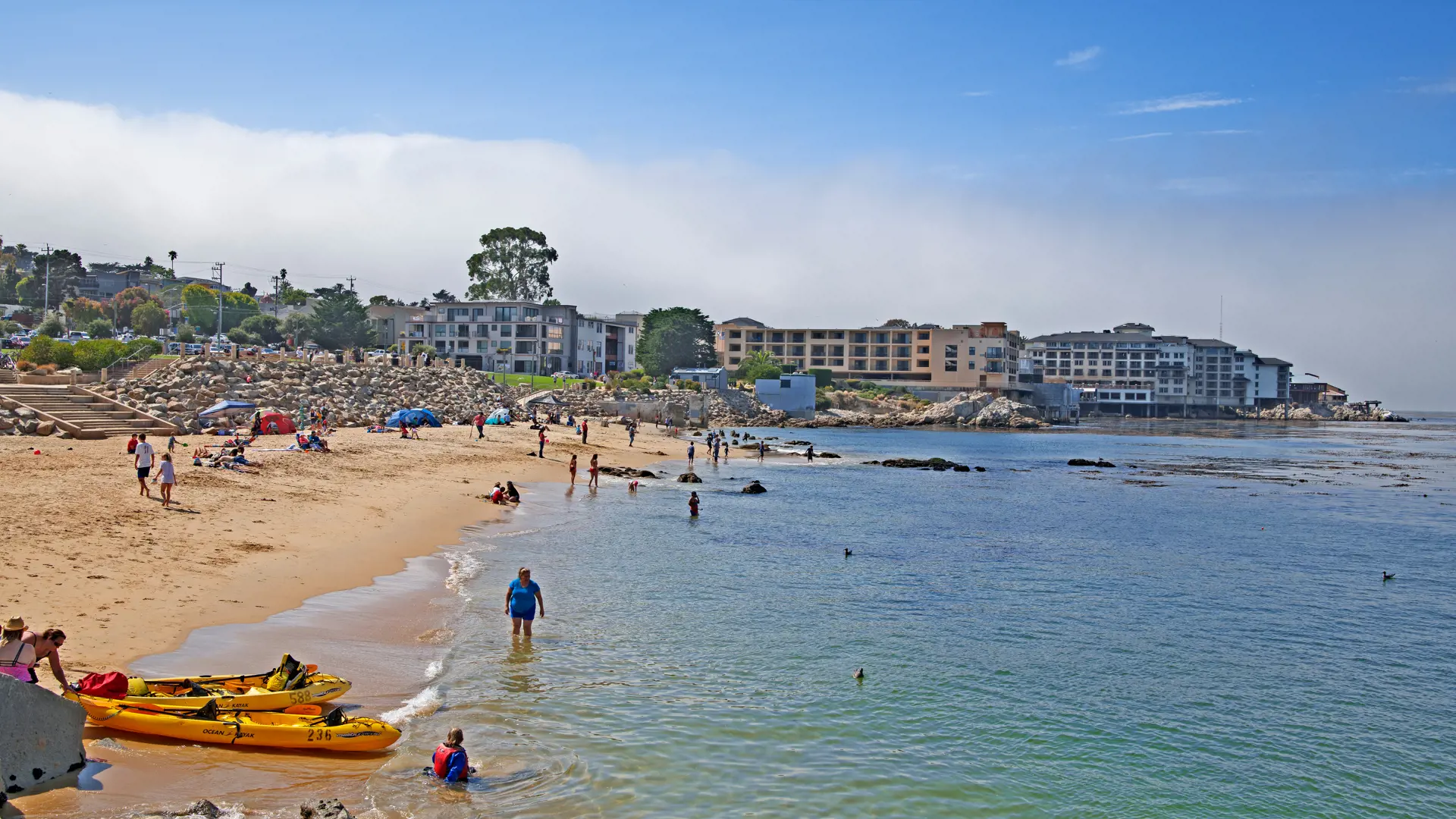 På Stranden Ved Monterey Shutterstock 1157463130