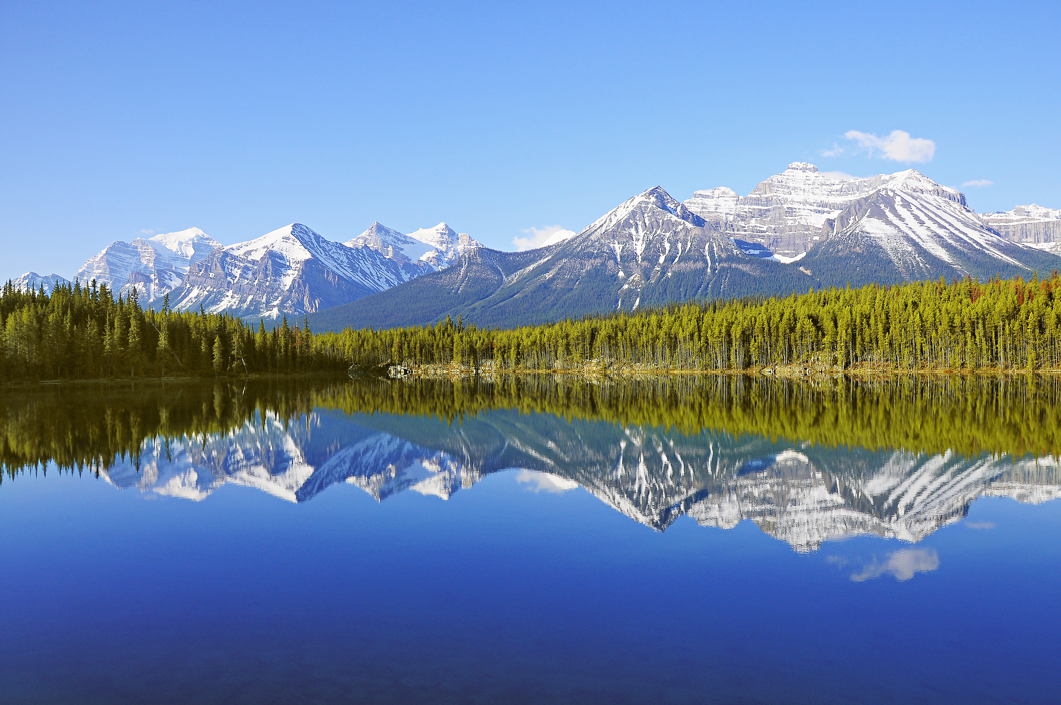 Herbert Lake, Banff National Park, Canada