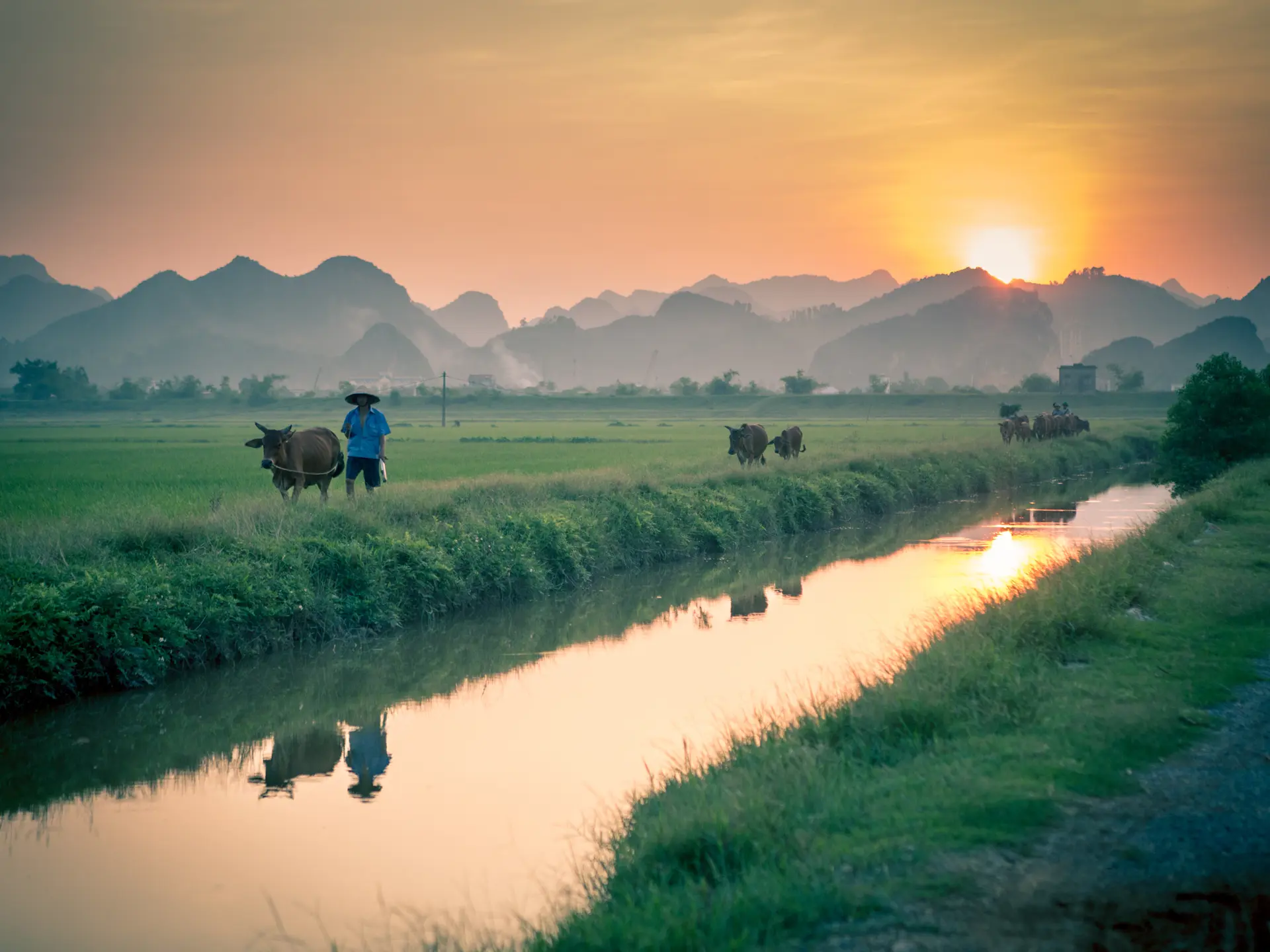 Adobestock 153097076