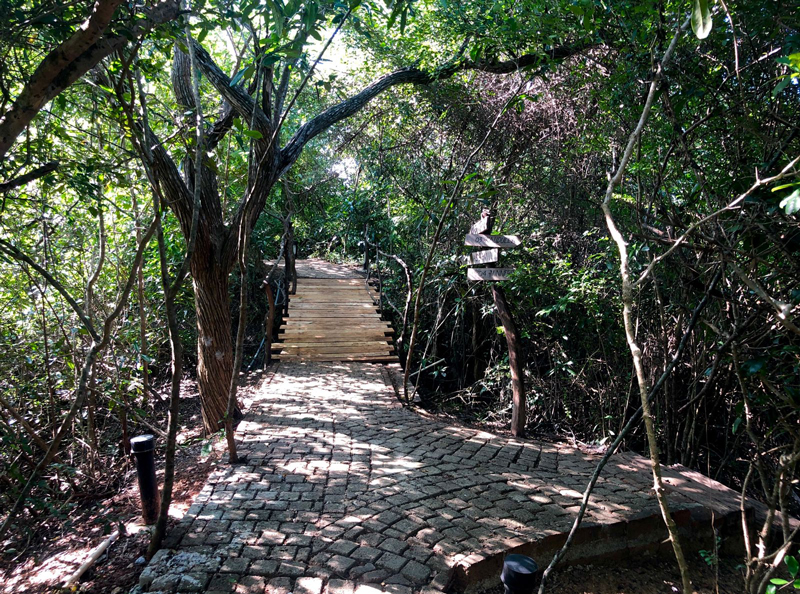 Copy Of PHOTO 2022 01 06 07 18 55