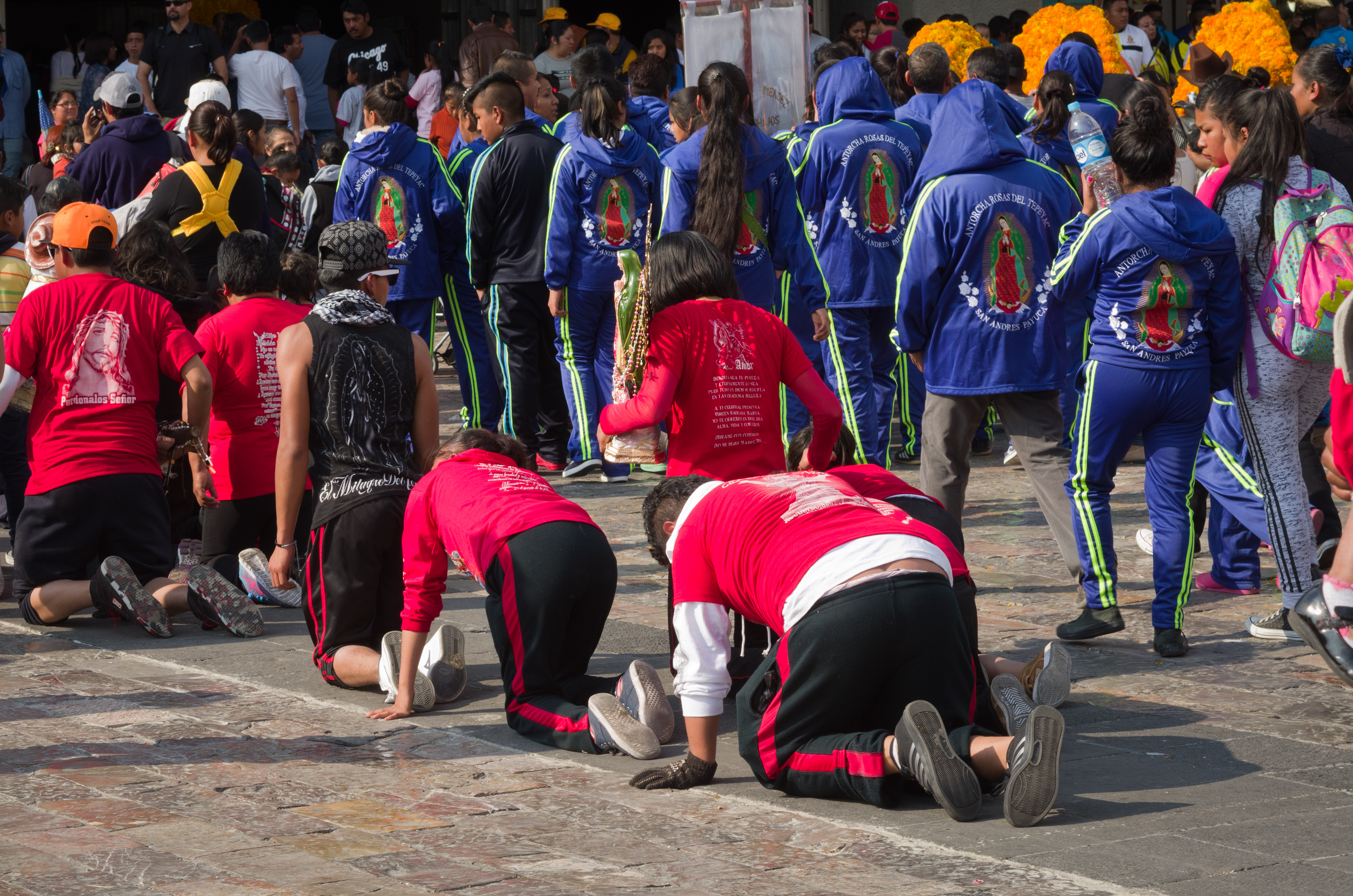 Shutterstock 540223057