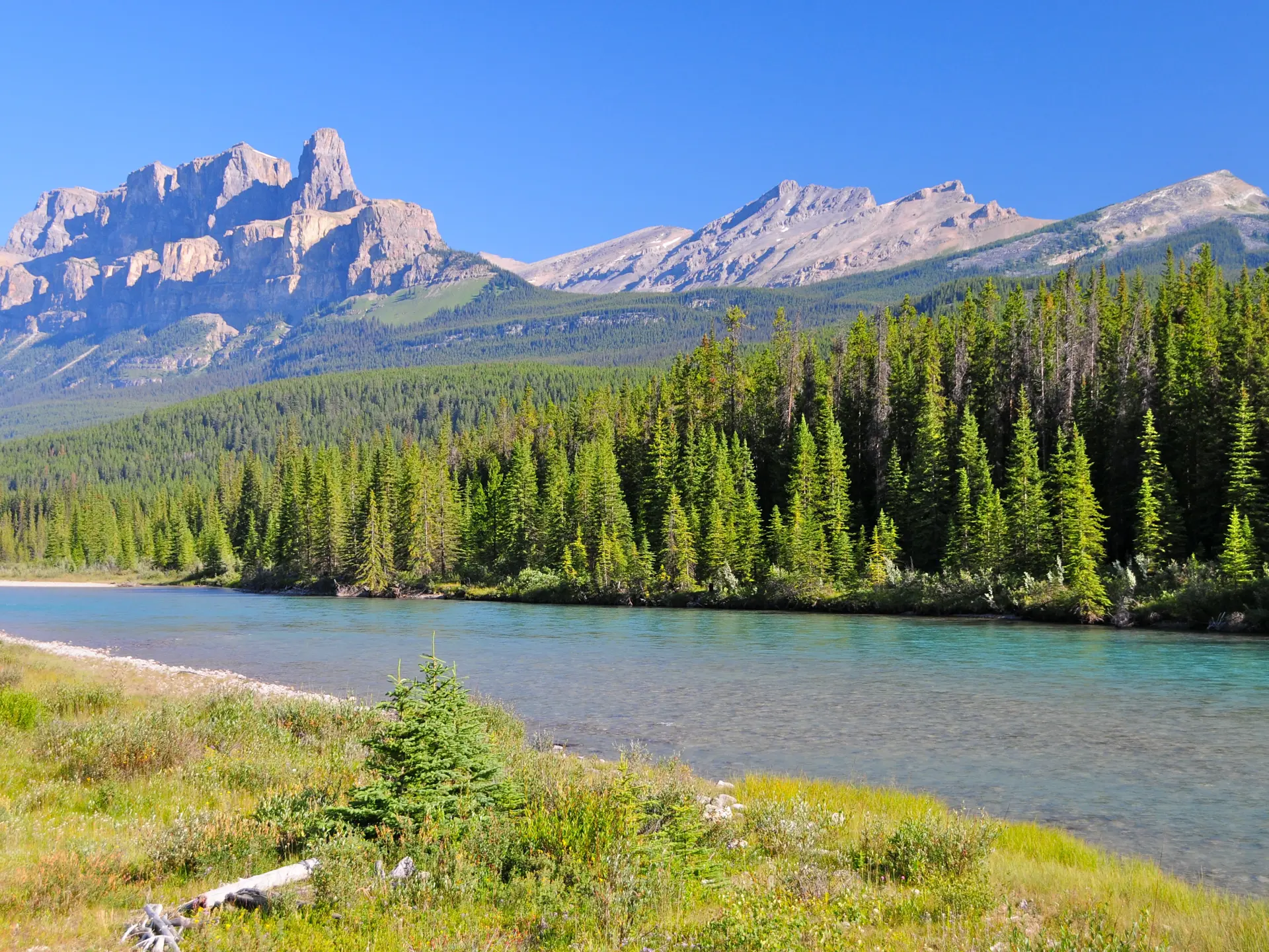 shutterstock_109408307 Mount Revelstoke National Park, BC.jpg