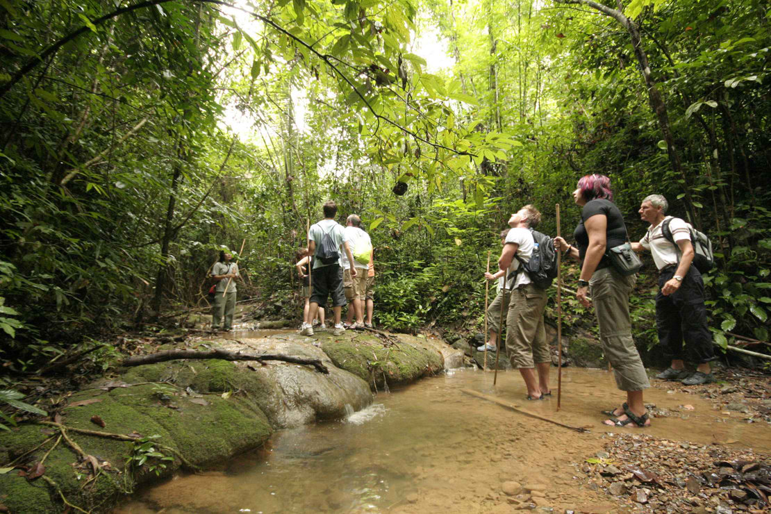 JUNGLEVANDRING - Elephant Hills stedkendte naturguider tager jer med på junglevandring i Khao Sok Nationalpark