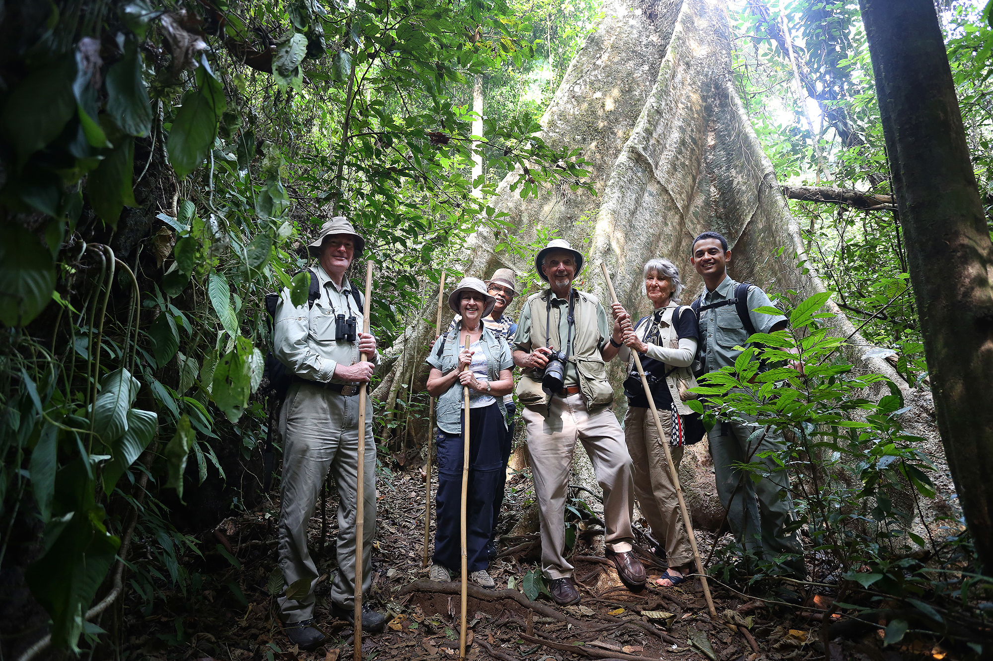 t Elephant Hills Luxury Tented Camp Khao Sok National Park Thailand Activities Jungle Trekking 6.jpg