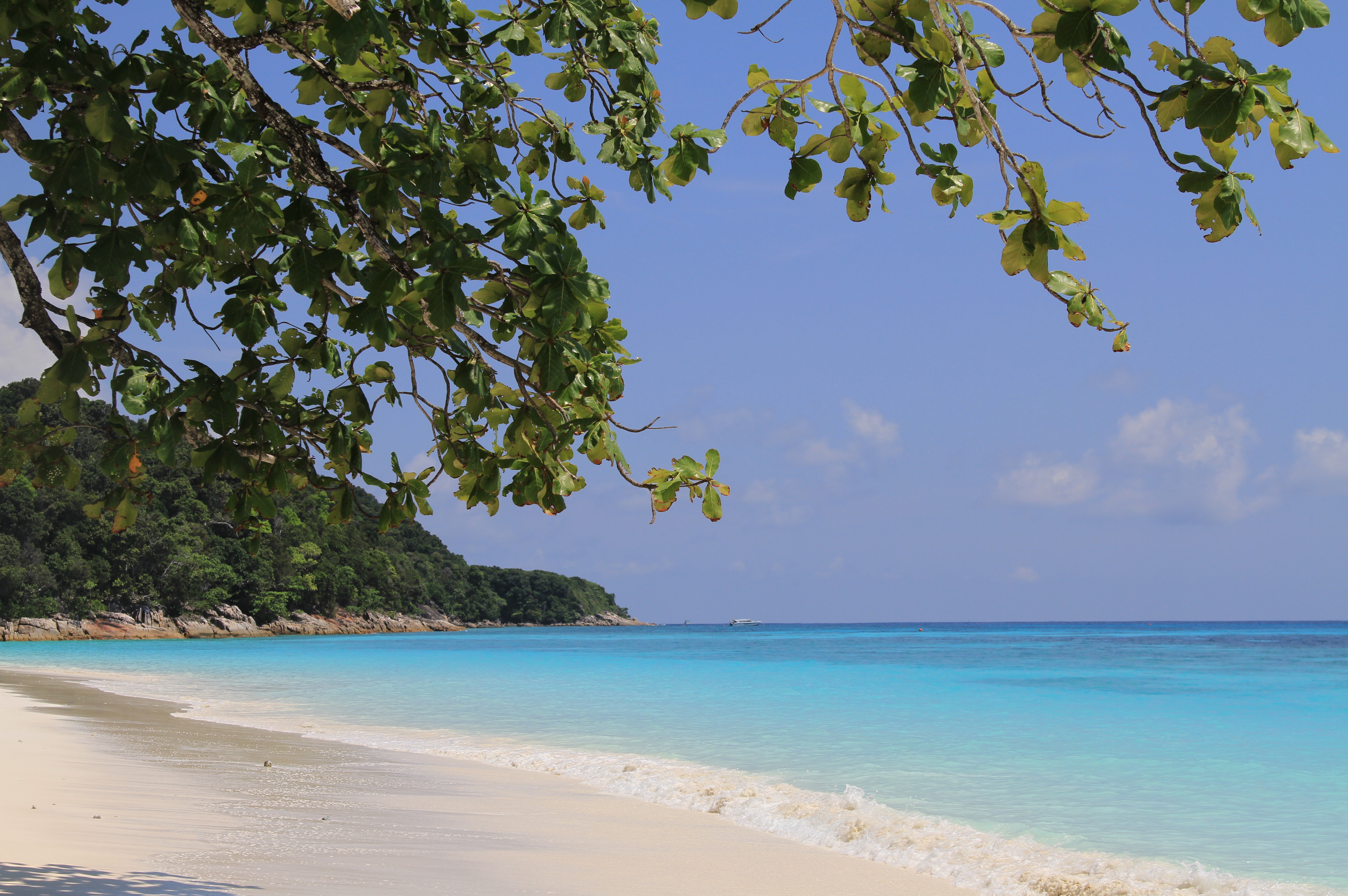 SNORKLING - Fra Khao Lak kan I tage med på snorkelture til øerne Ta Chai og Similan, Check Point Travel