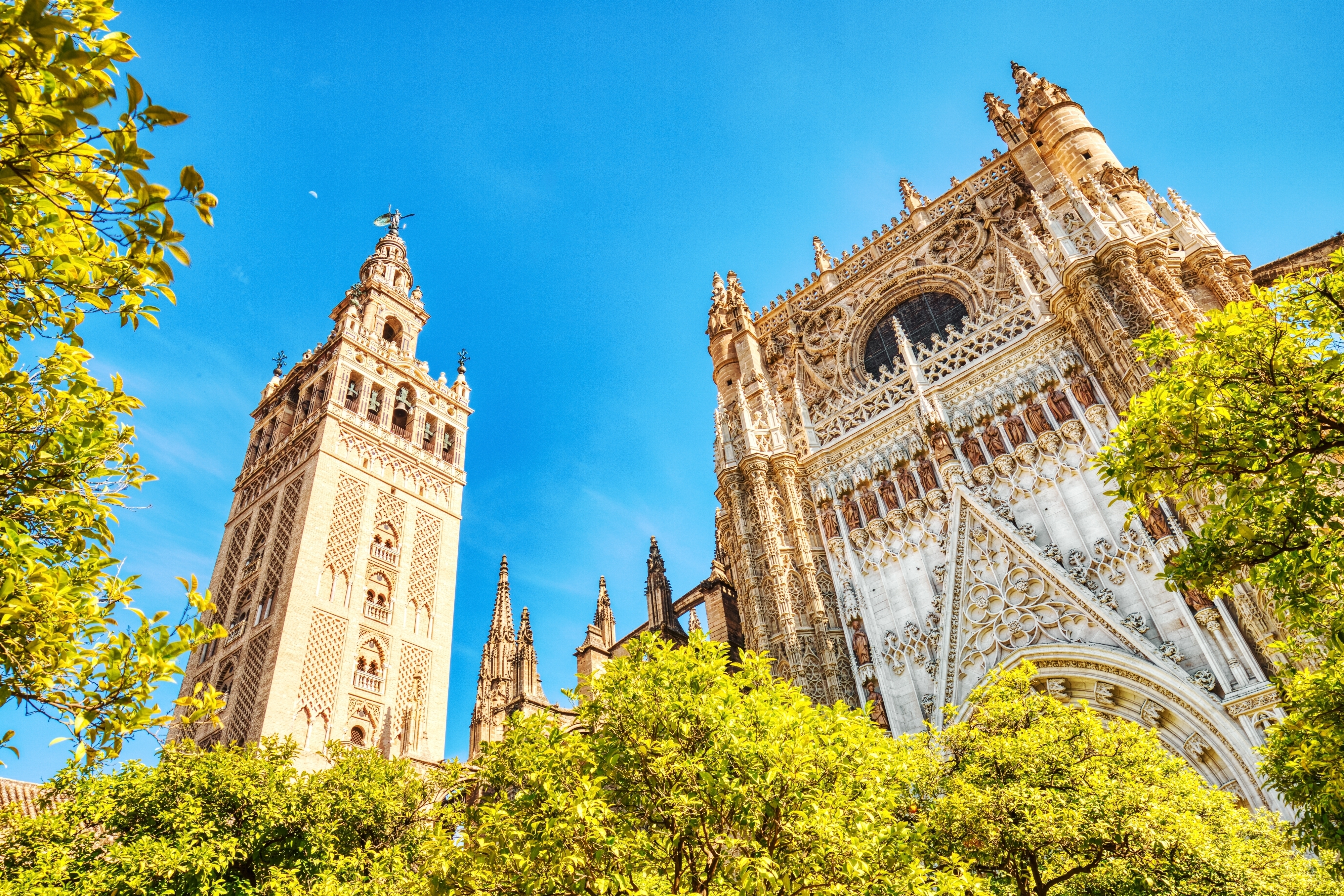 Seville Cathedral And Giralda Tower Shutterstock 2411044311