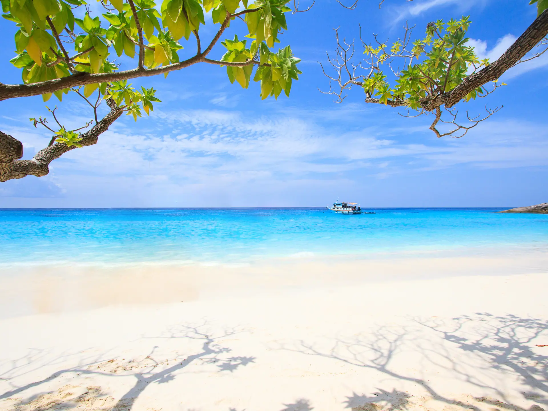 Shutterstock 377907184 Beautiful Similan Island