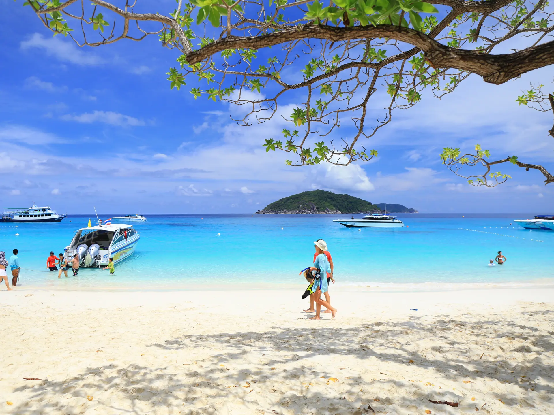 shutterstock_292964228 Phang Nga,  clear water beautiful at Similan island, Phang-nga Thailan.jpg