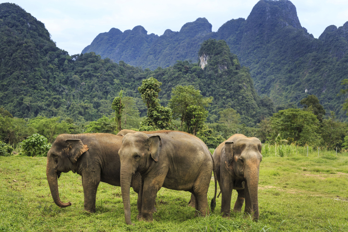 KHAO SOK NATIONALPARK - Thailands flotteste nationalpark ligger ganske tæt på Khao Lak og kan besøges på en heldagstur, Check Point Travel