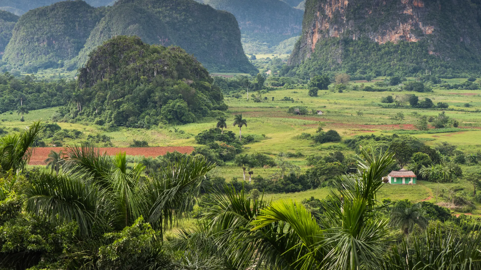 shutterstock_323530409 Panoramic view over landscape with mogotes in Vinales Valley ,Cuba.jpg