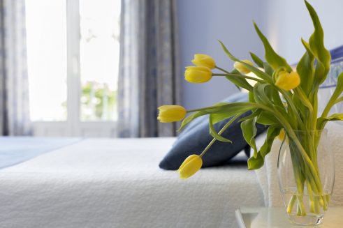 Vista Plaza Room (2)