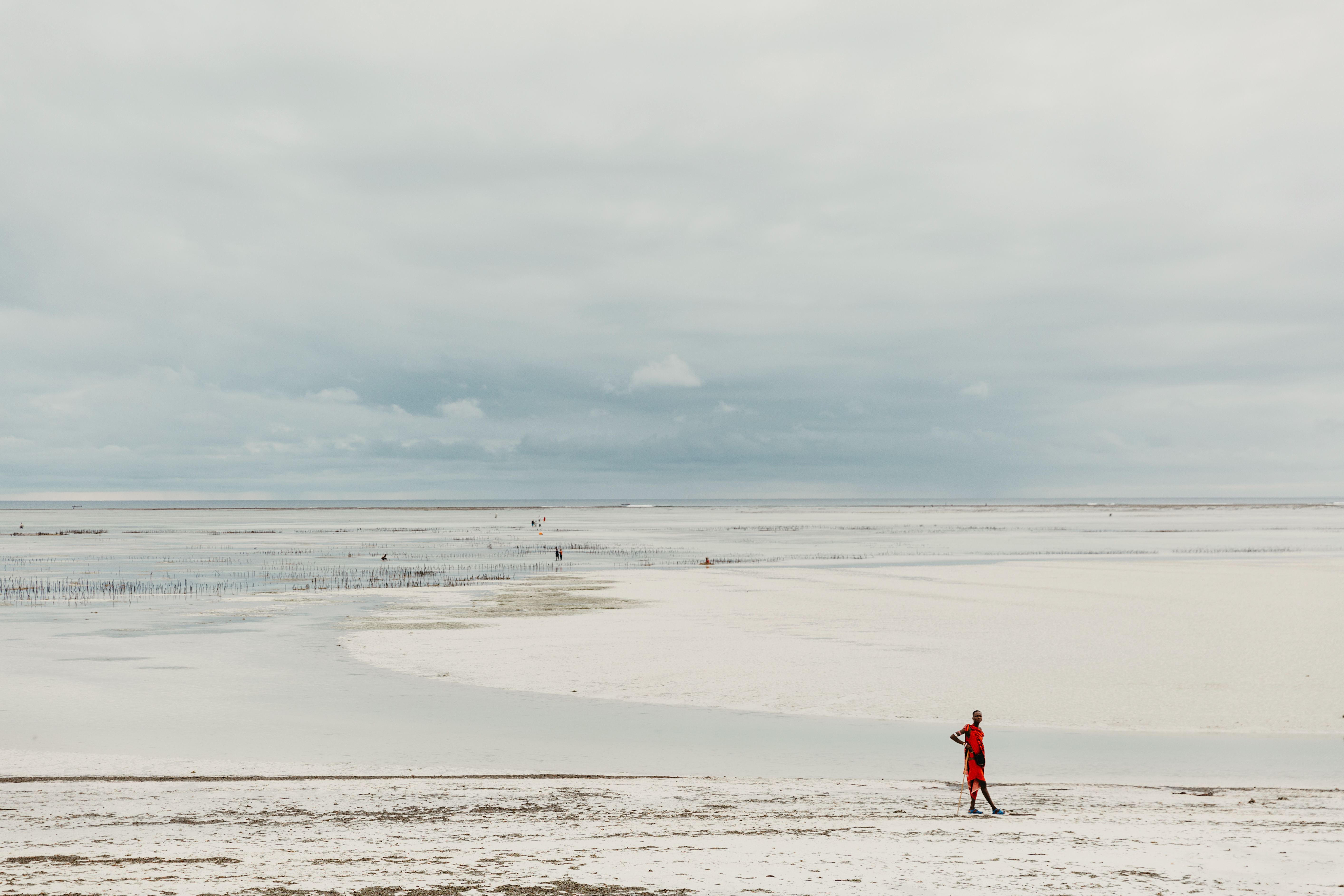 12746 PP0C9492 5655X3770