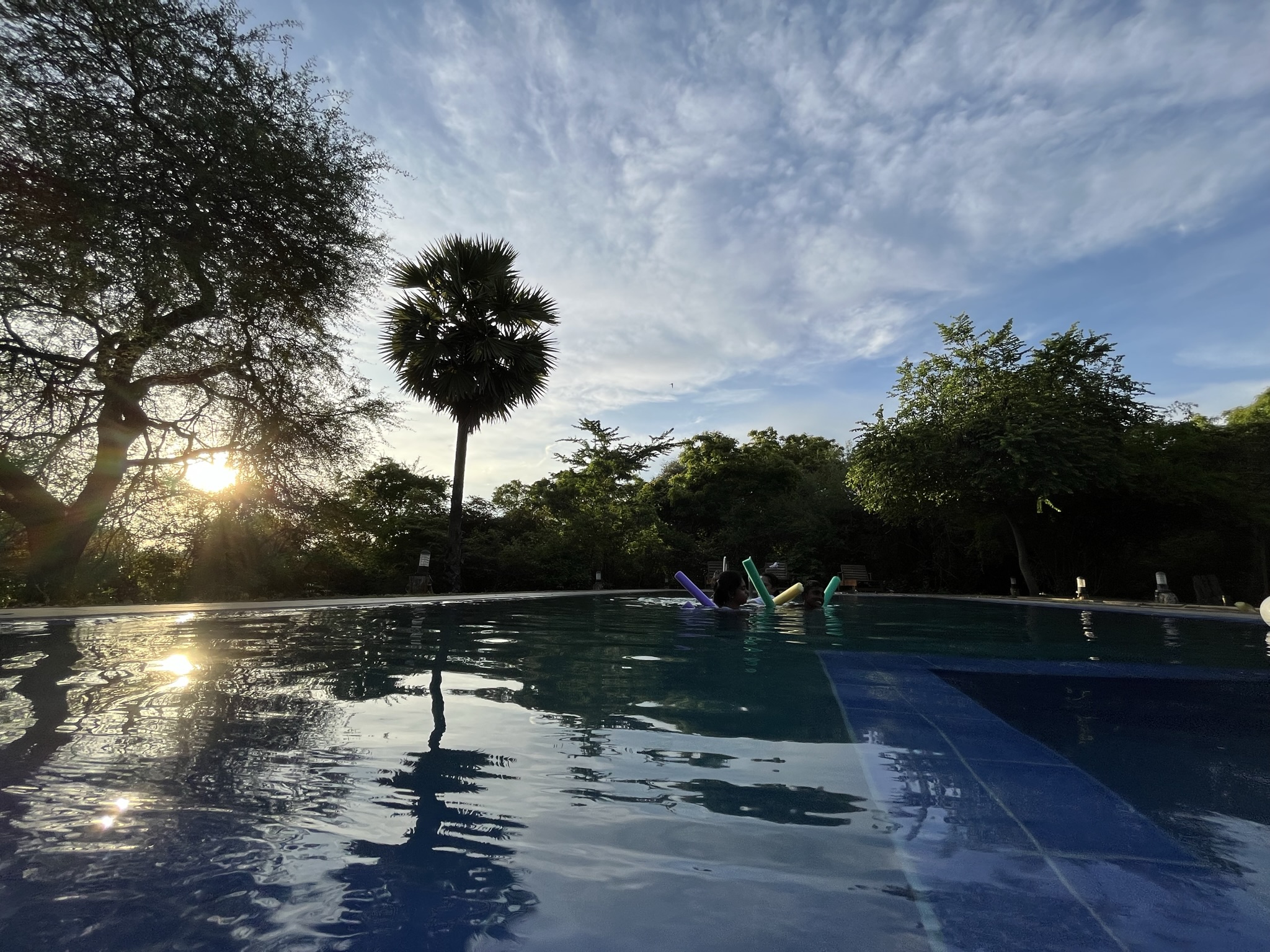 Copy Of IMG 2503 (1)