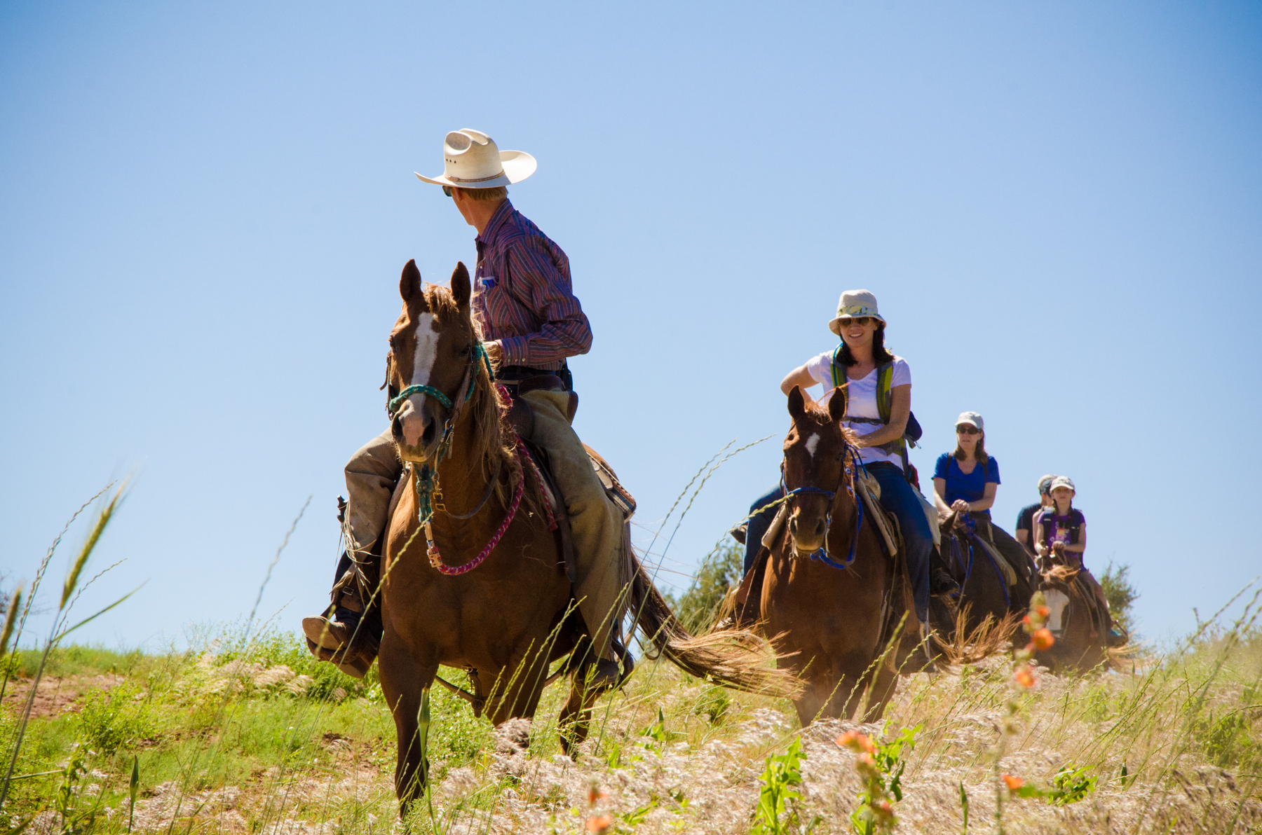 ZION - Bor I på ranchen, kan I prøve, hvad det vil sige at være cowboys for en tid - I kan for eksempel tage på rideture i den smukke natur, Check Point Travel