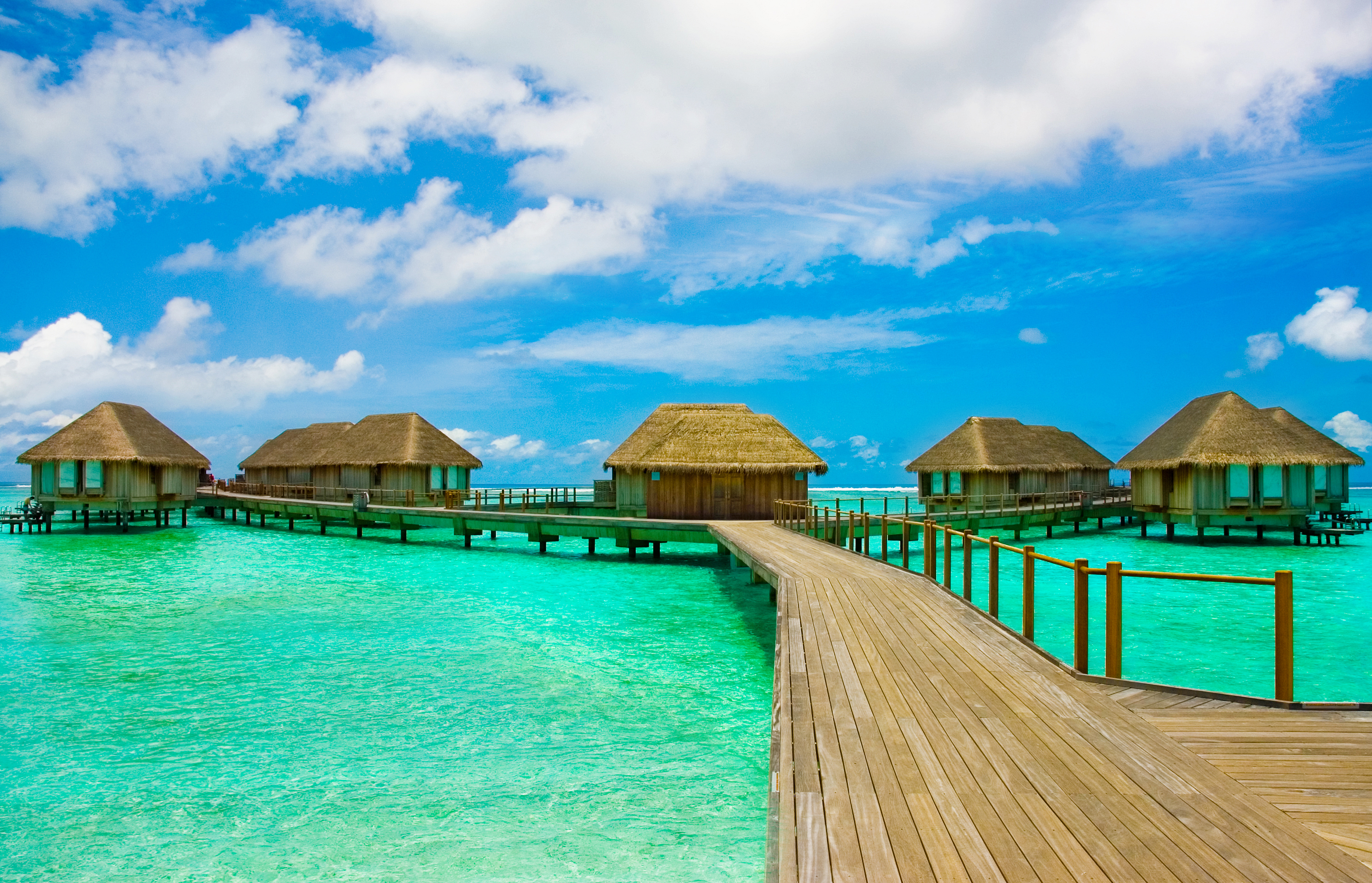 S-0284 Shazeen Abdul Samad.jpg