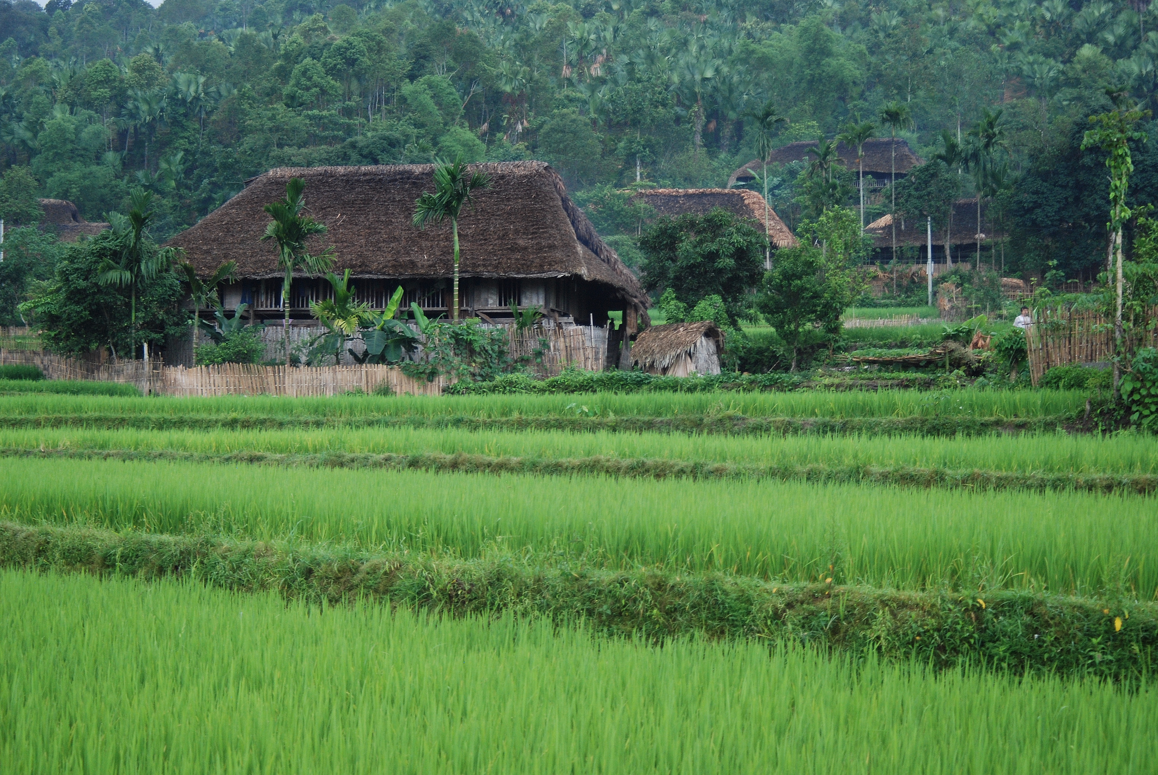 Homestay Ha Giang.JPG