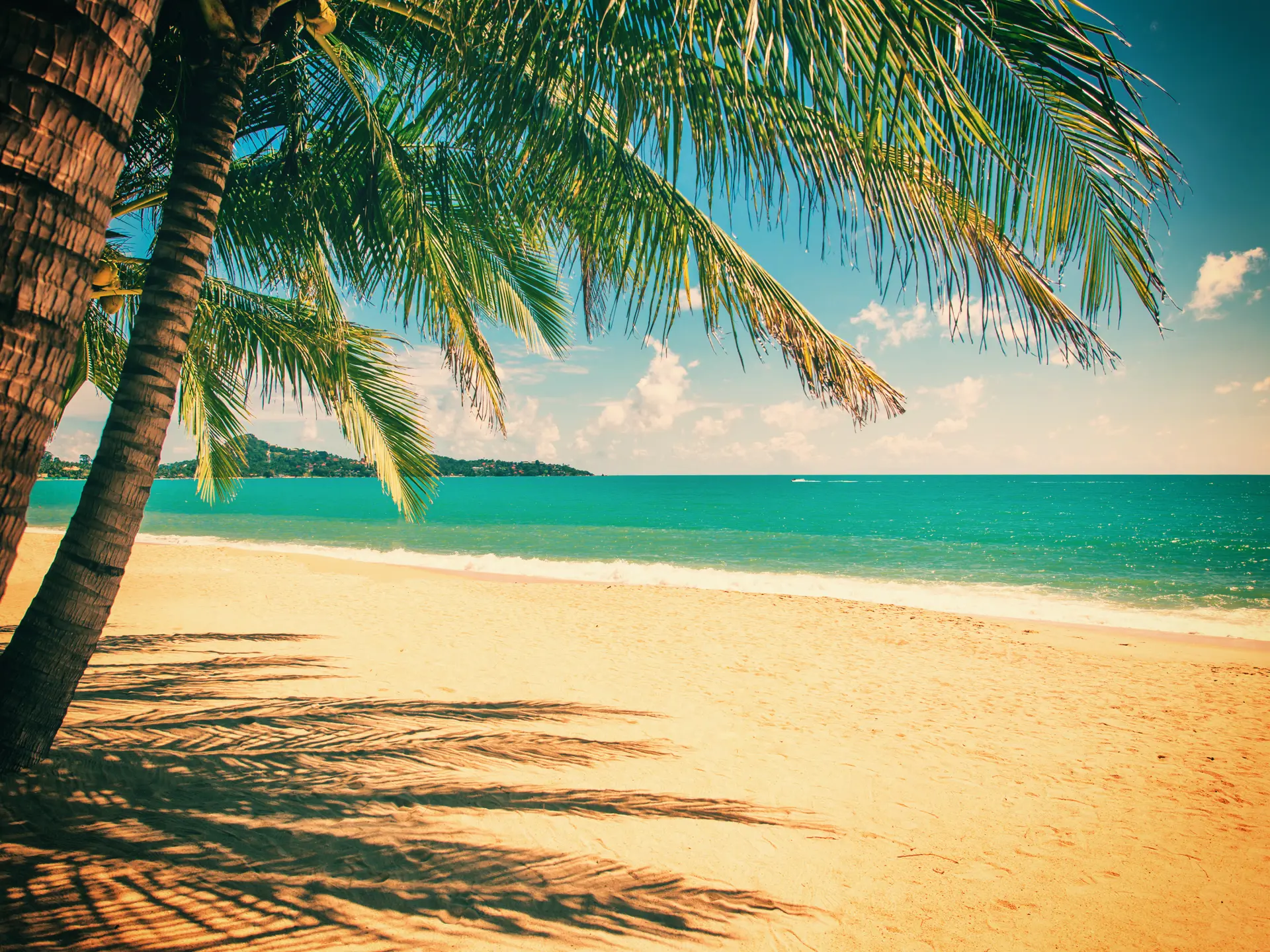 shutterstock_358101110 Tropical beach of Lamai in Koh Samui island in Thailand.jpg