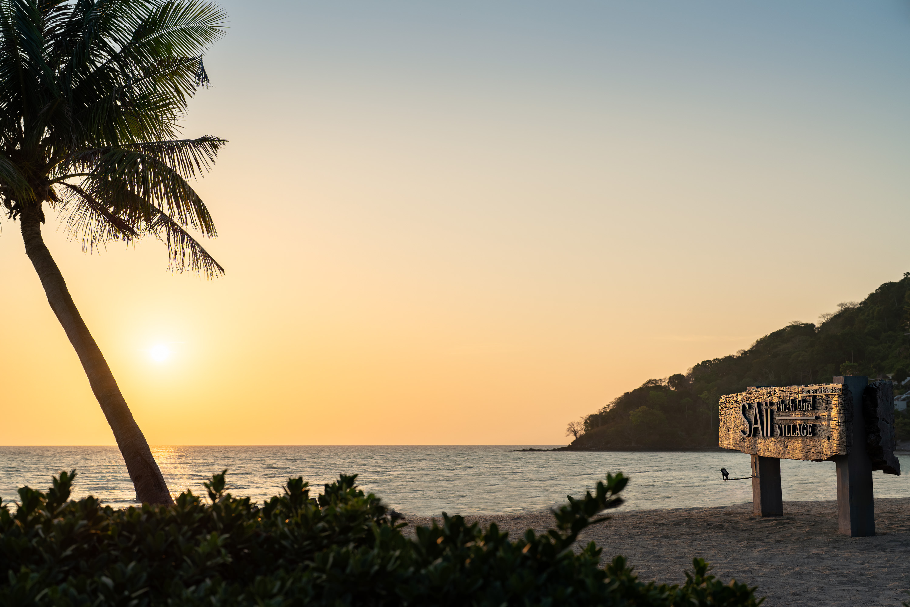 240319 Saii Phiphi Others 0006