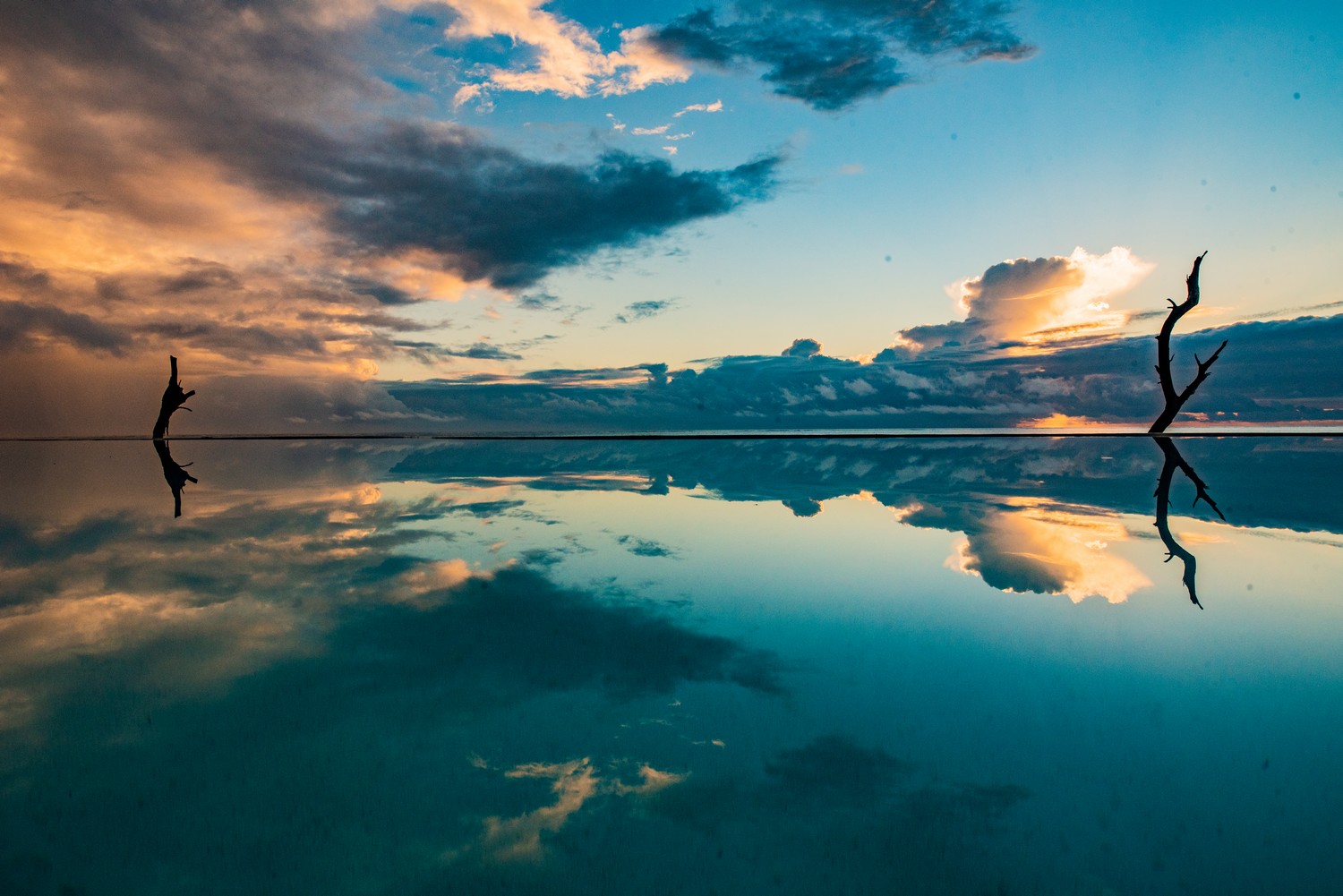 Pongwe Beach Hotel Zanzibar Hotel 173