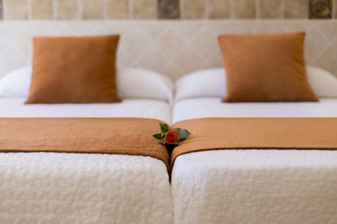 Vista Plaza Plus Room (2)